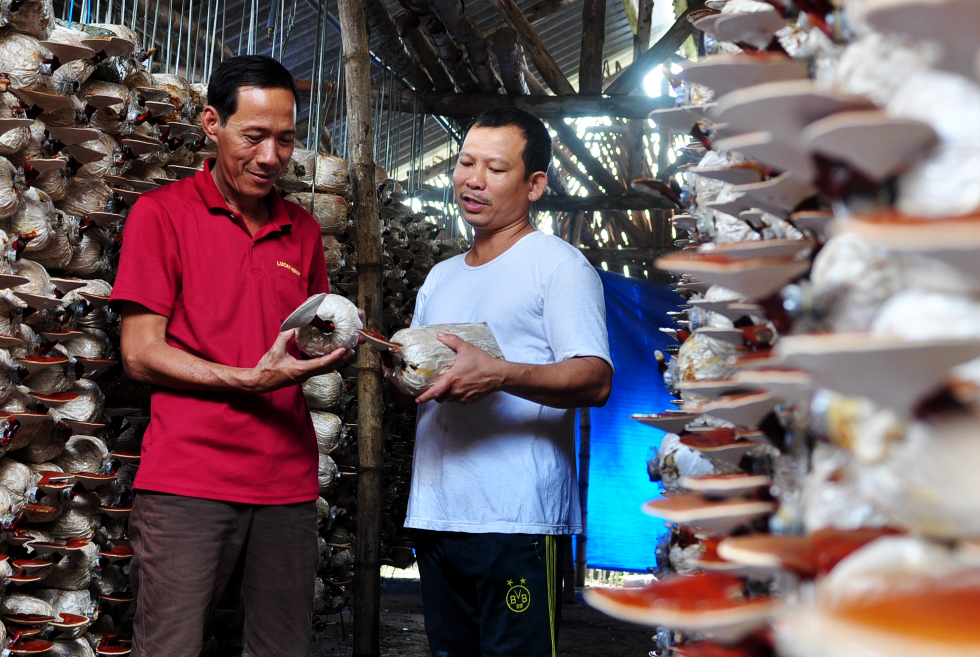 Thu nua ty nho trong nam anh 8