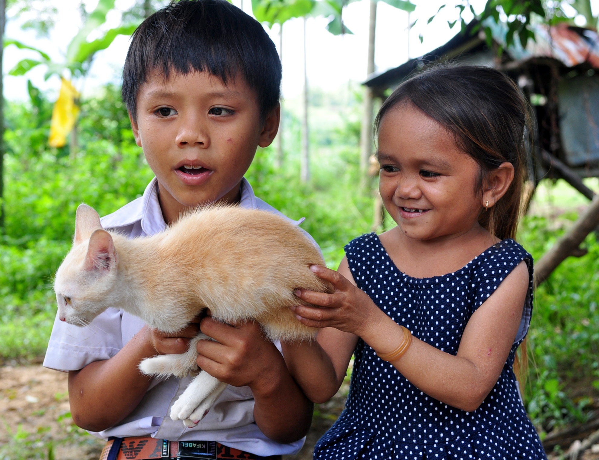 Ba nguoi ty hon anh 11