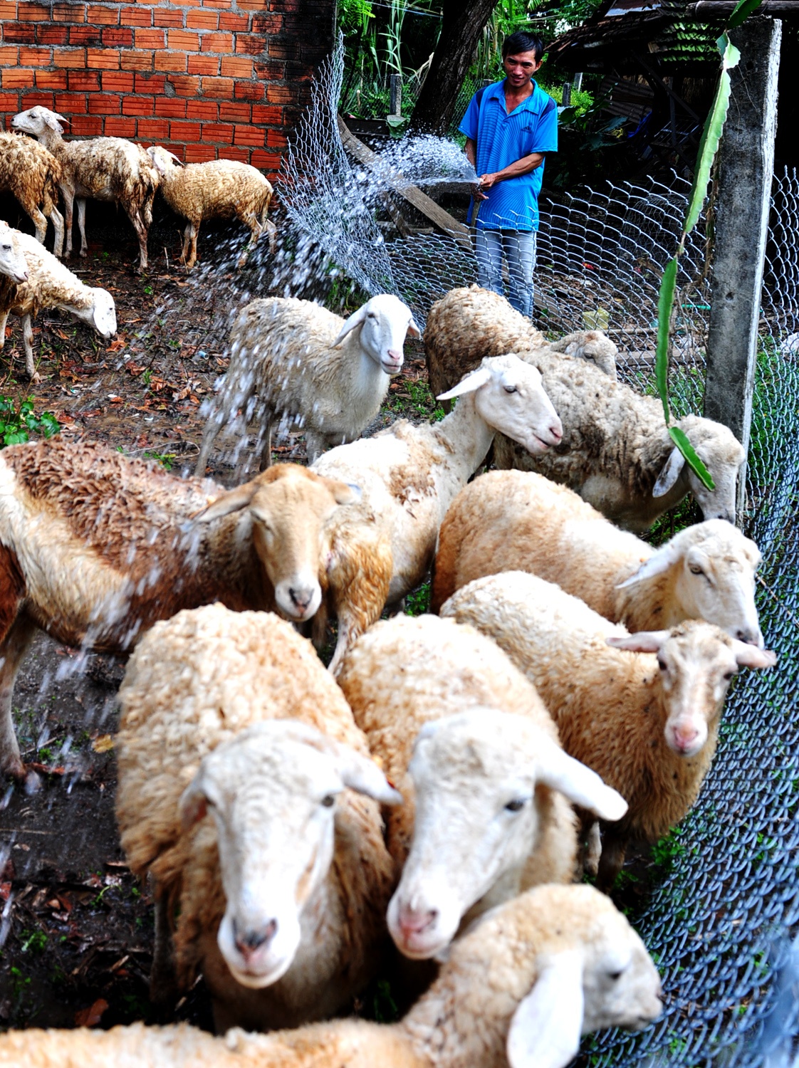 Cuu Quang Ngai anh 2