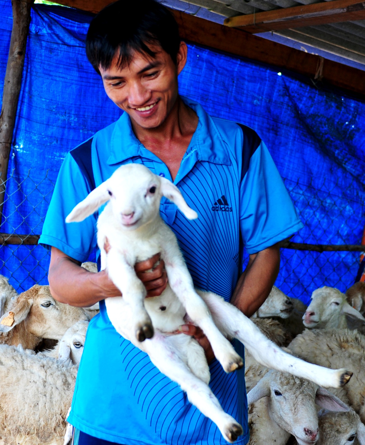 Cuu Quang Ngai anh 5