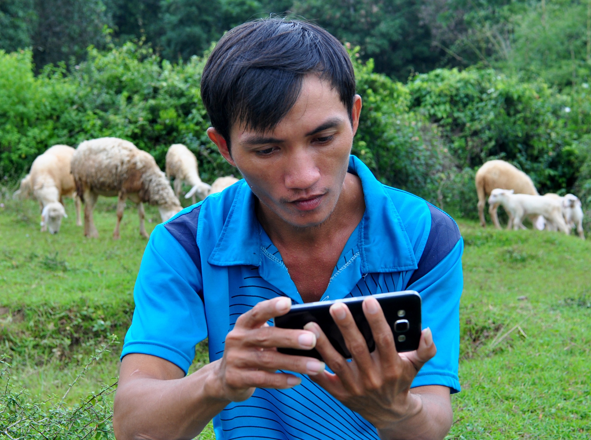 Cuu Quang Ngai anh 7