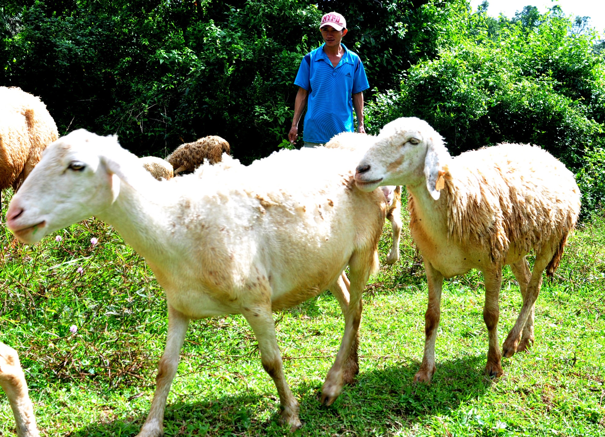 Cuu Quang Ngai anh 6