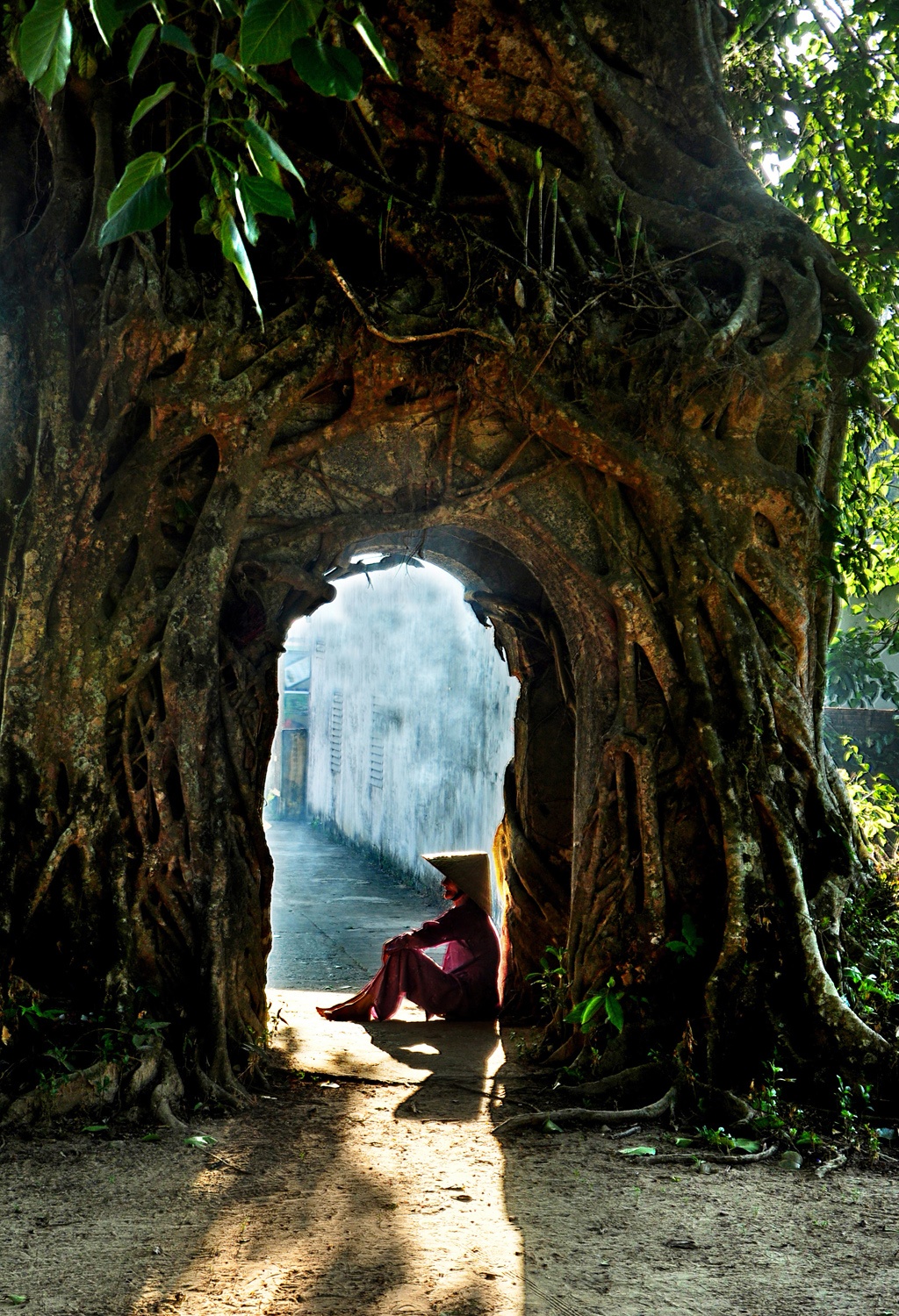 Thay giao me nhiep anh anh 12