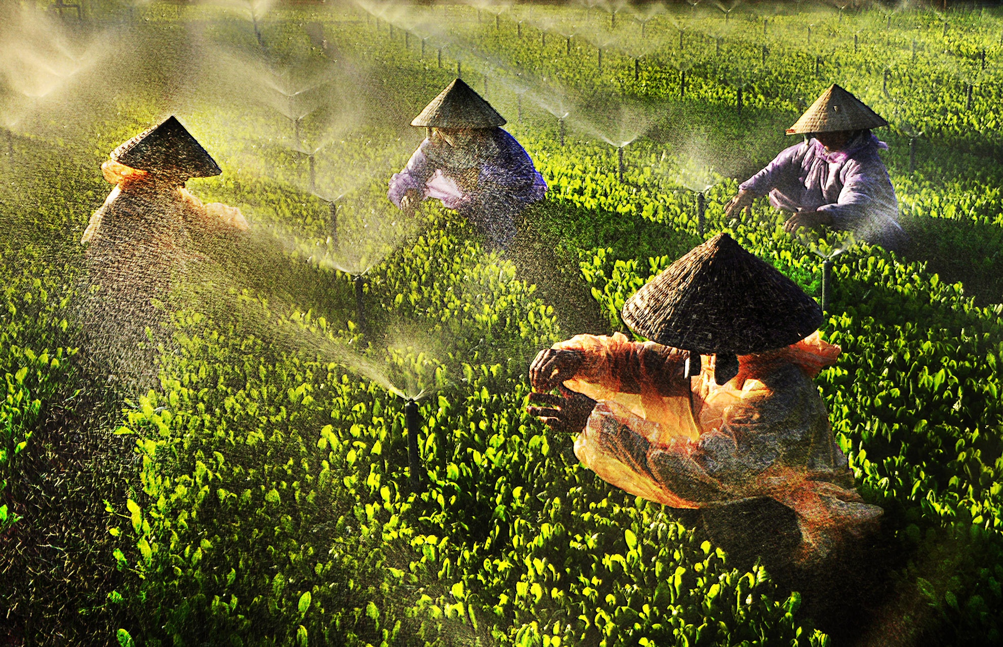 Thay giao me nhiep anh anh 5