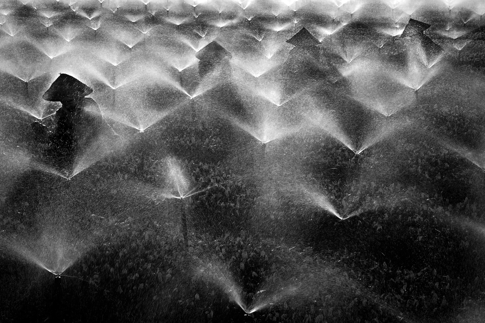 Thay giao me nhiep anh anh 9