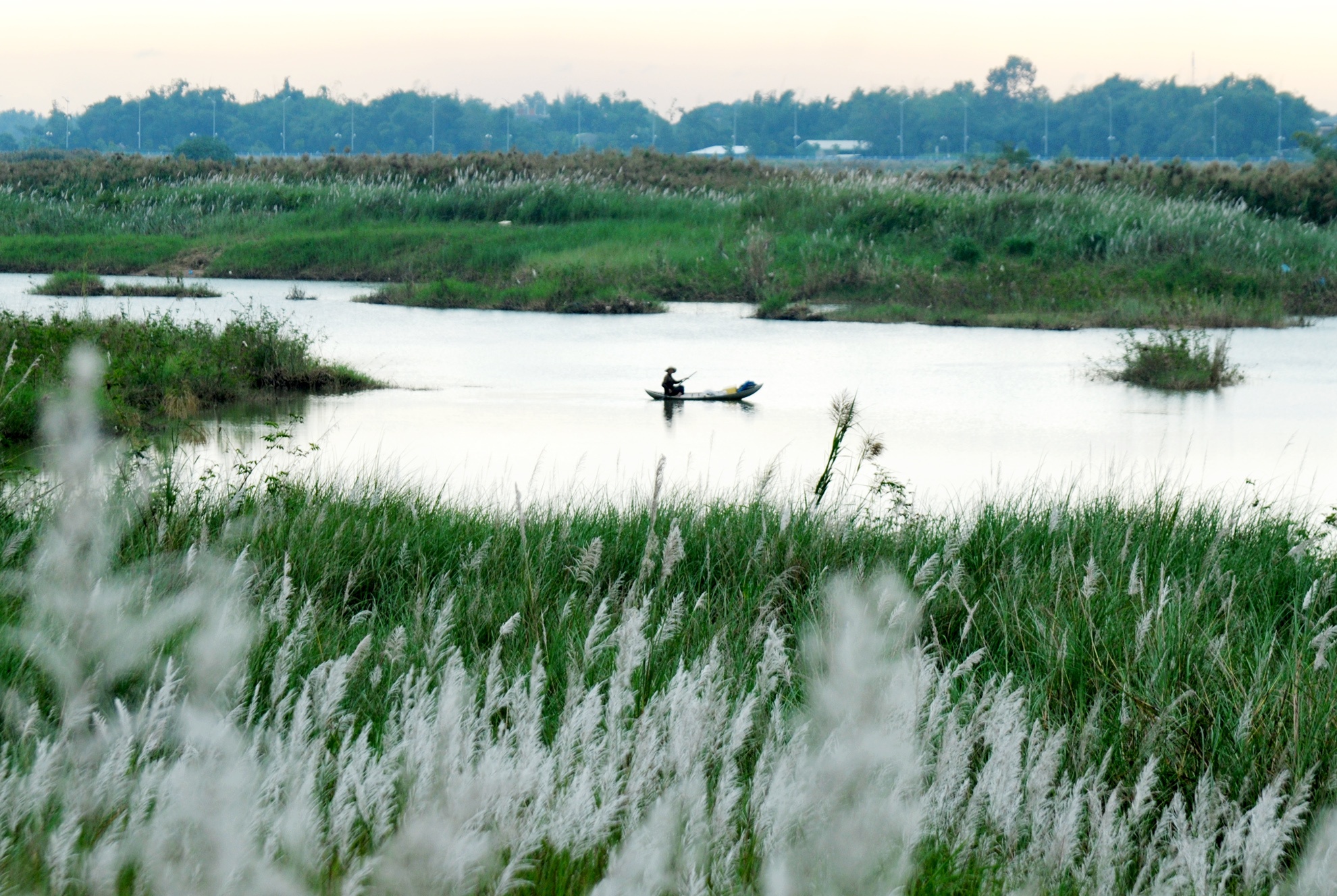 Mua hoa co lau anh 3