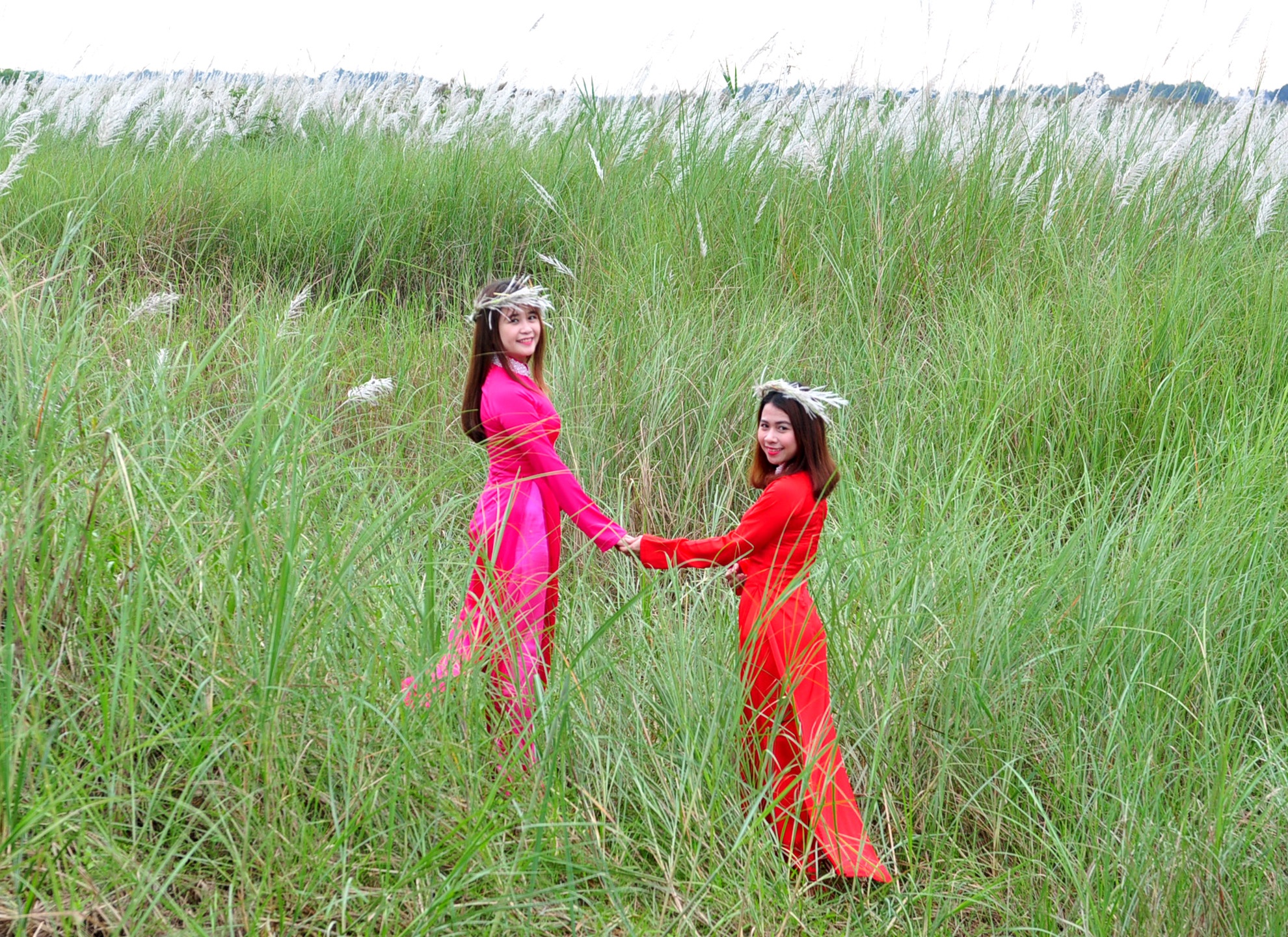 Mua hoa co lau anh 4