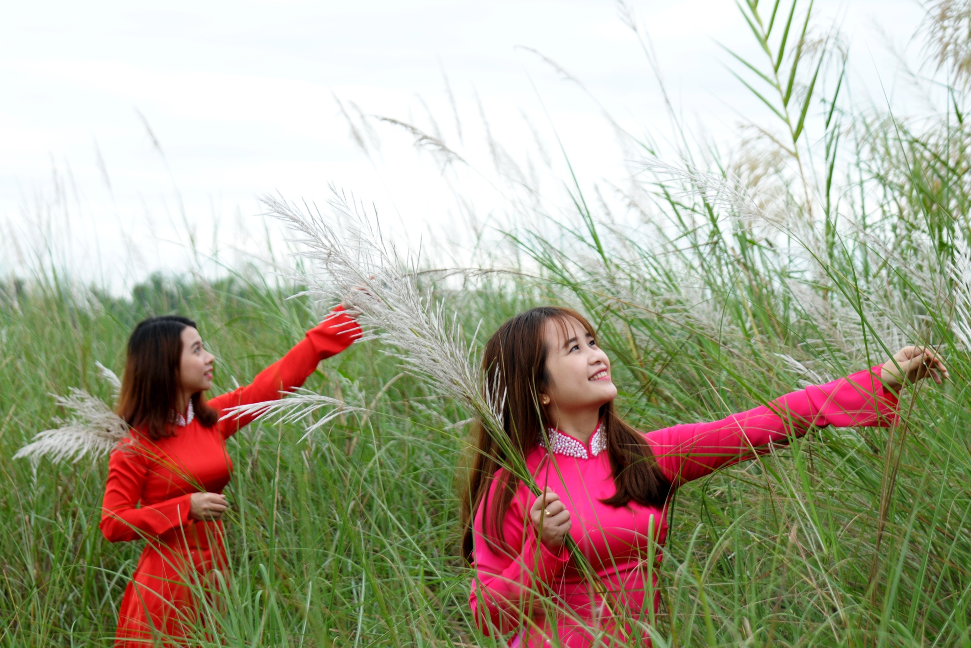 Mua hoa co lau anh 6