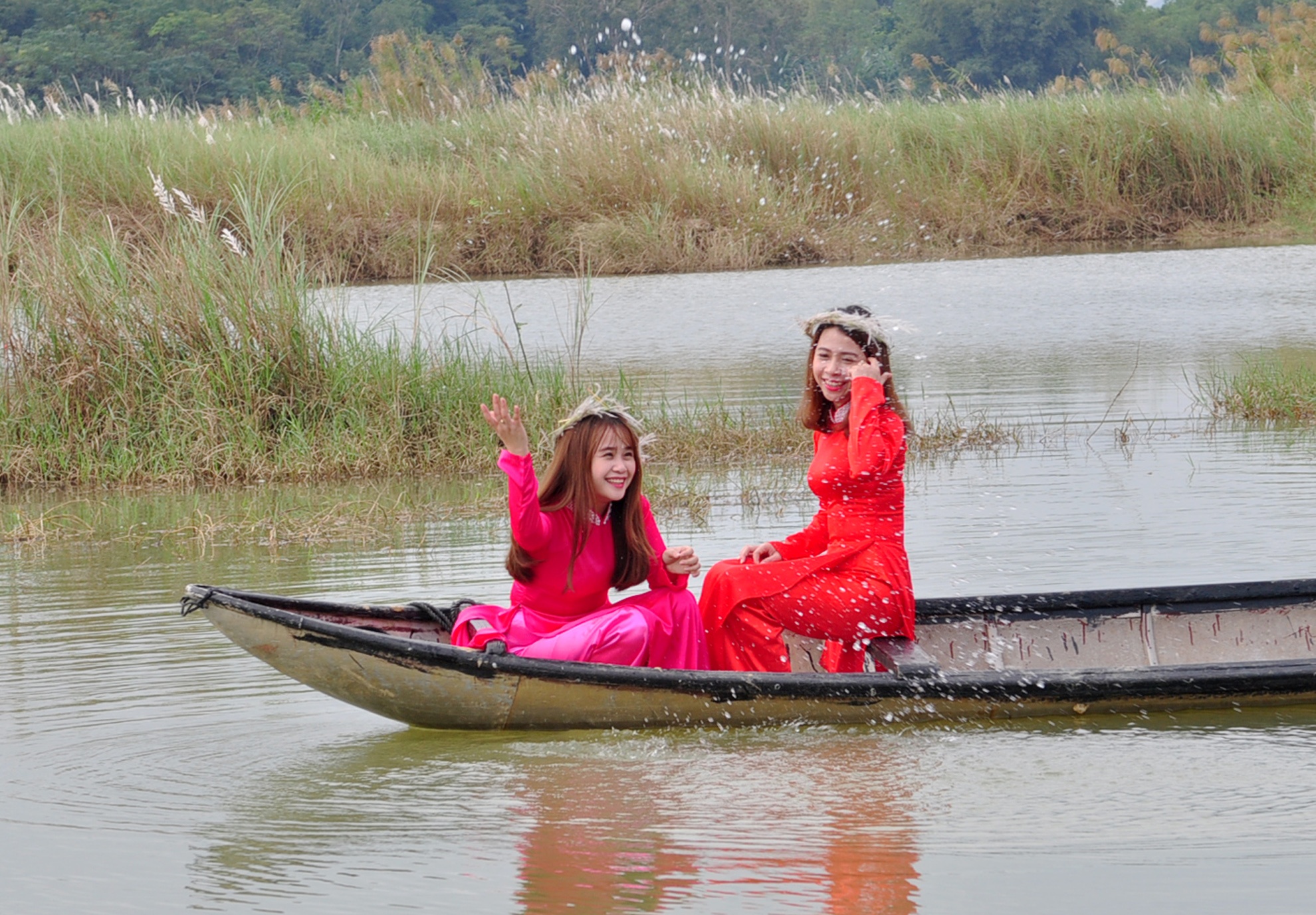 Mua hoa co lau anh 7