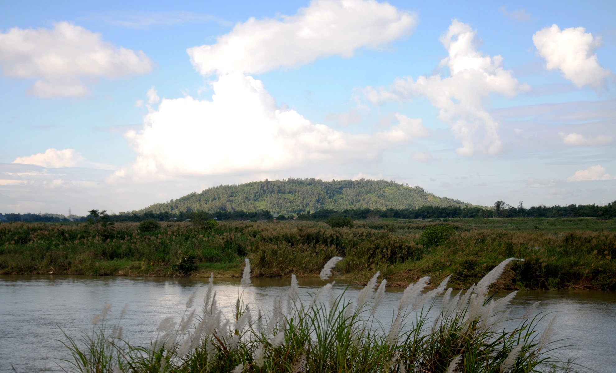 Mua hoa co lau anh 8