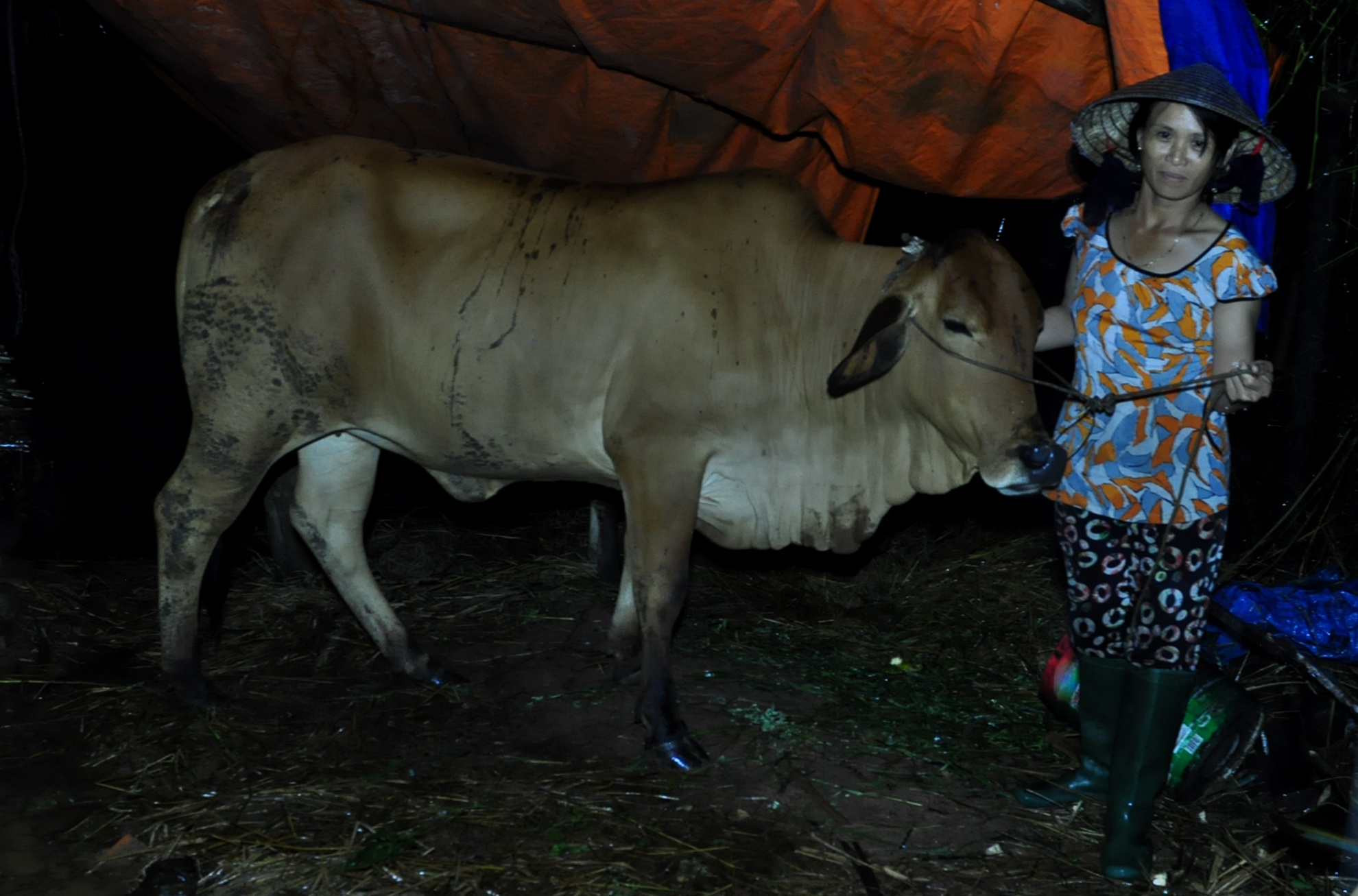 Dan Quang Ngai chay lu trong dem hinh anh