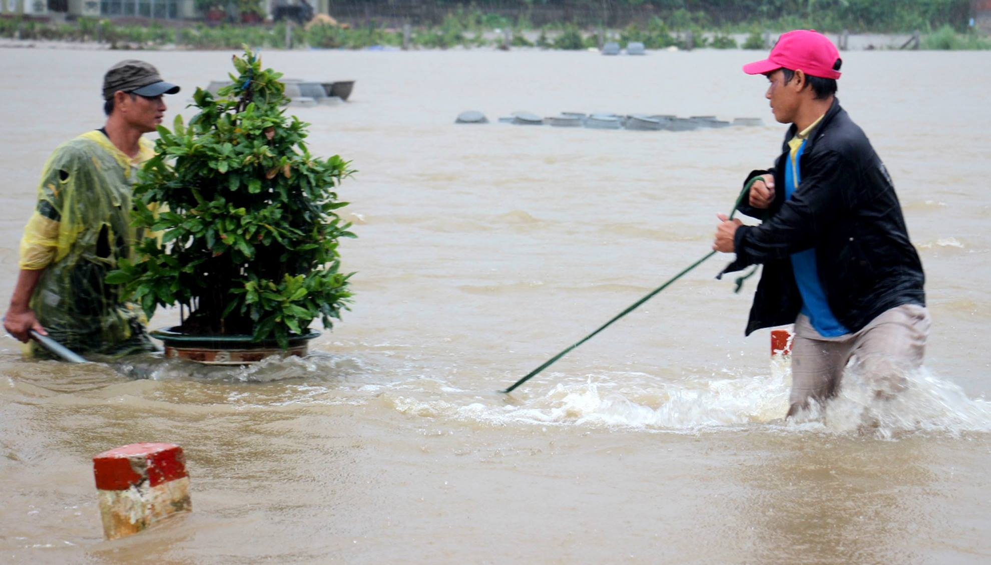 Lu chong lu, dan Binh Dinh dieu dung hinh anh