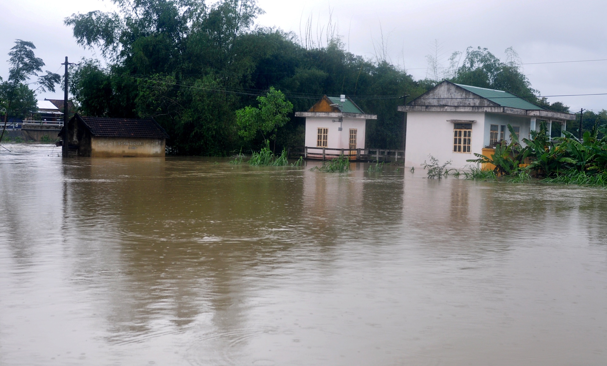 Lu lon Quang Ngai anh 1
