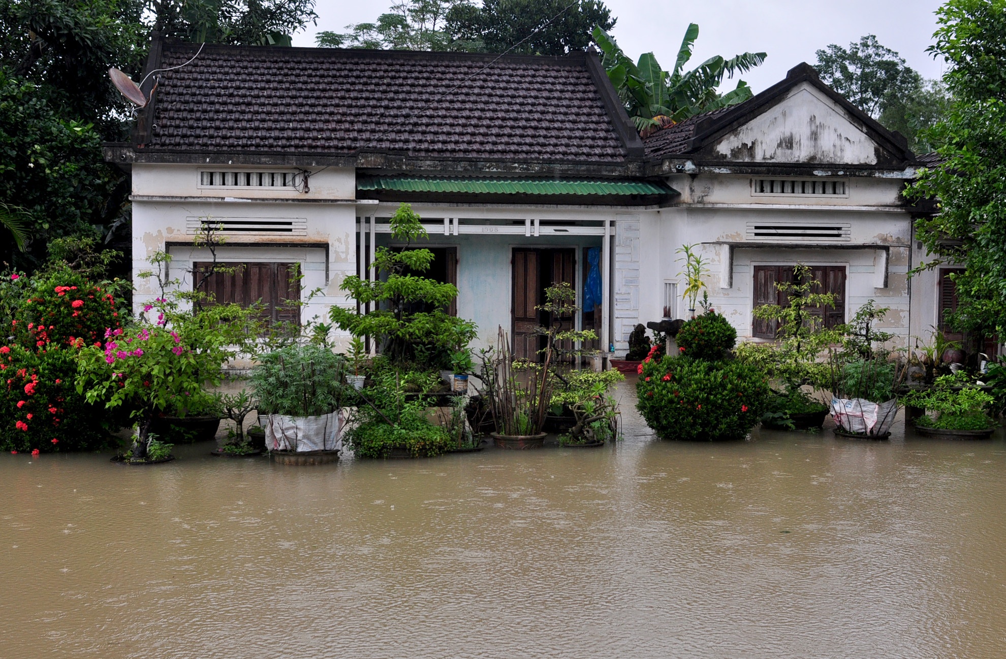 Lu lon Quang Ngai anh 3