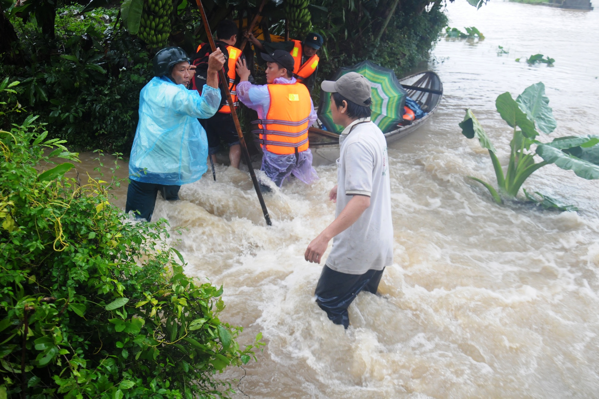 Lu lon Quang Ngai anh 7