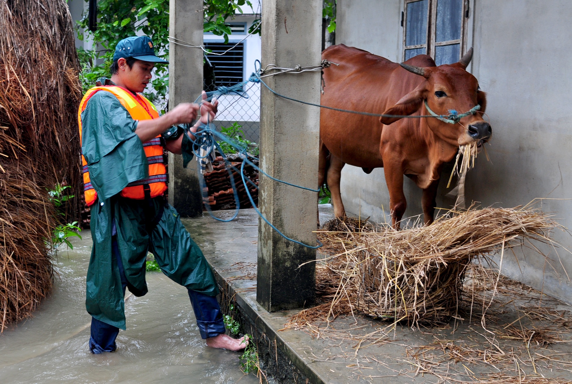 Lu lon Quang Ngai anh 8