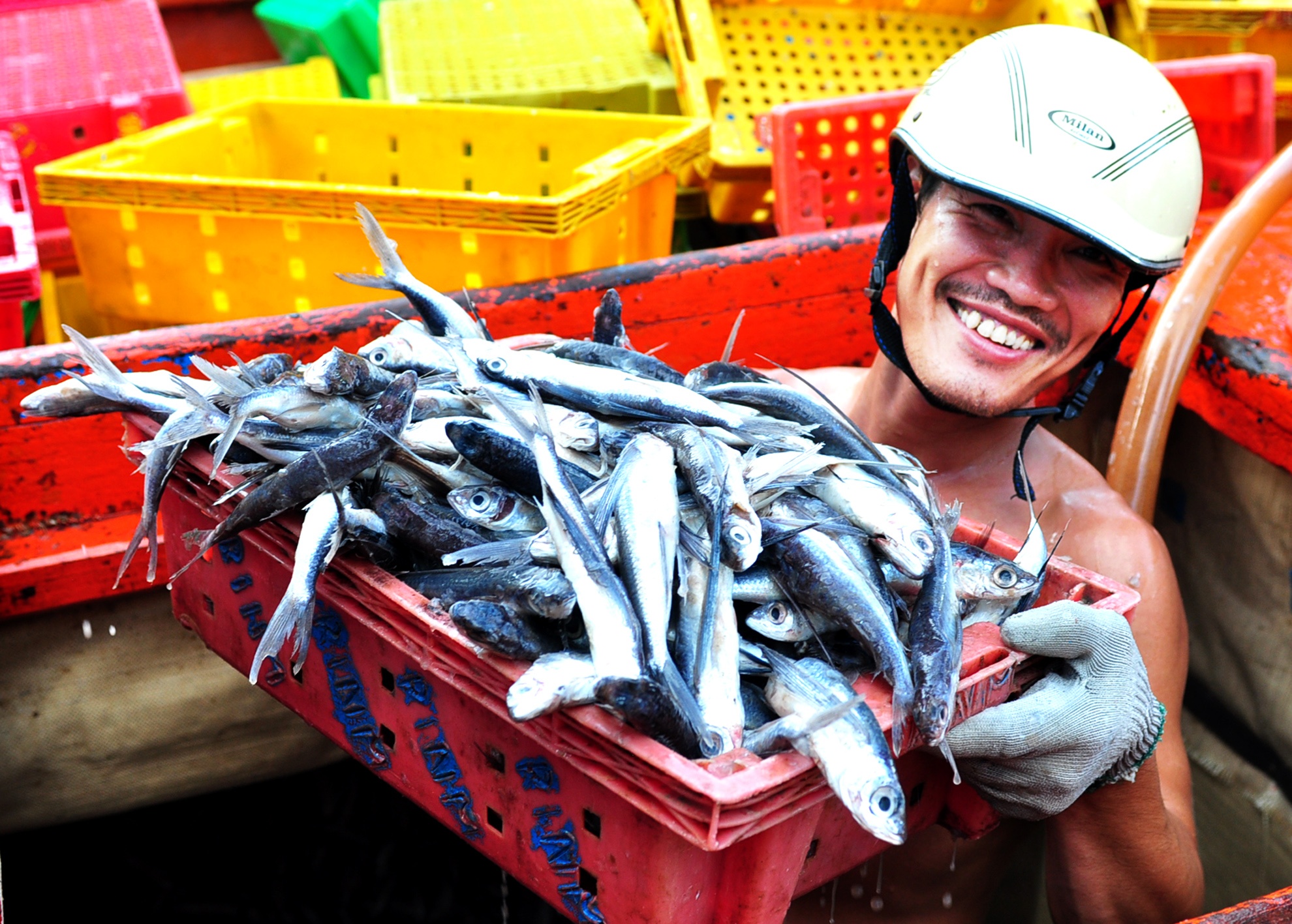 Ngu dan ke chuyen 6 ngay vat lon cuu tau ca o Hoang Sa hinh anh