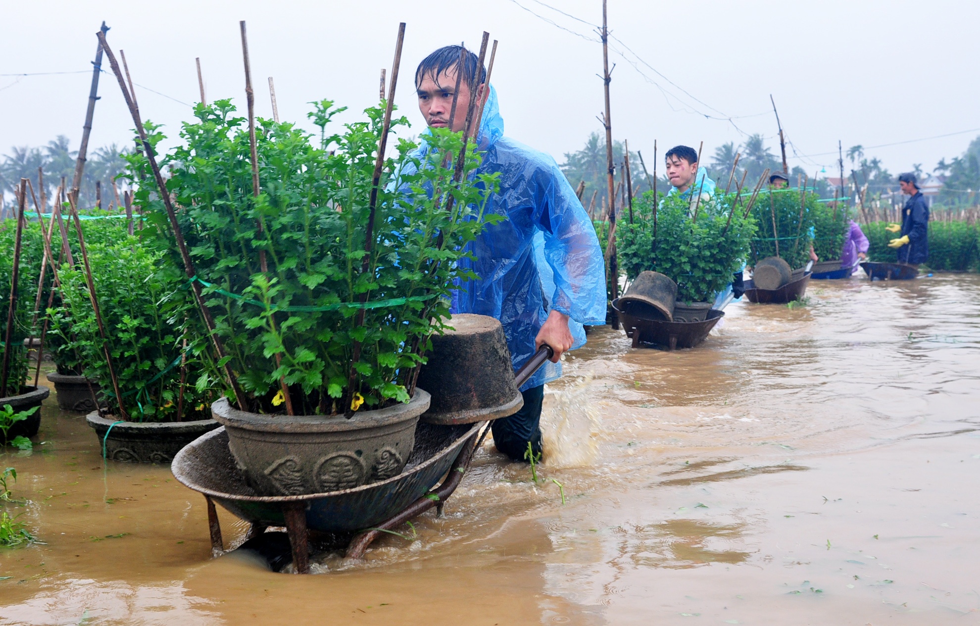 Dan Quang Ngai o at cho cuc Tet chay lu hinh anh