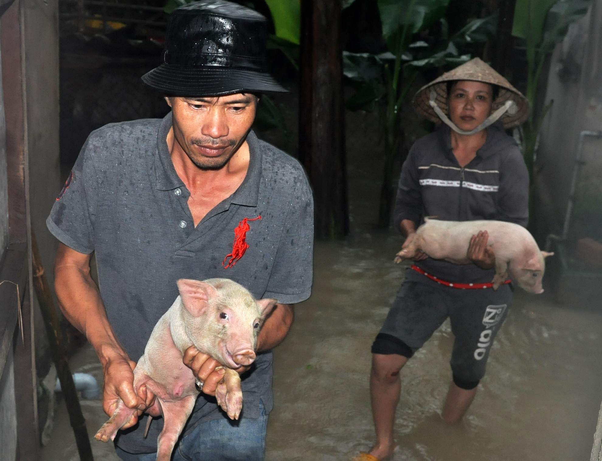 Hang nghin nha dan Quang Ngai ngap sau trong lu hinh anh