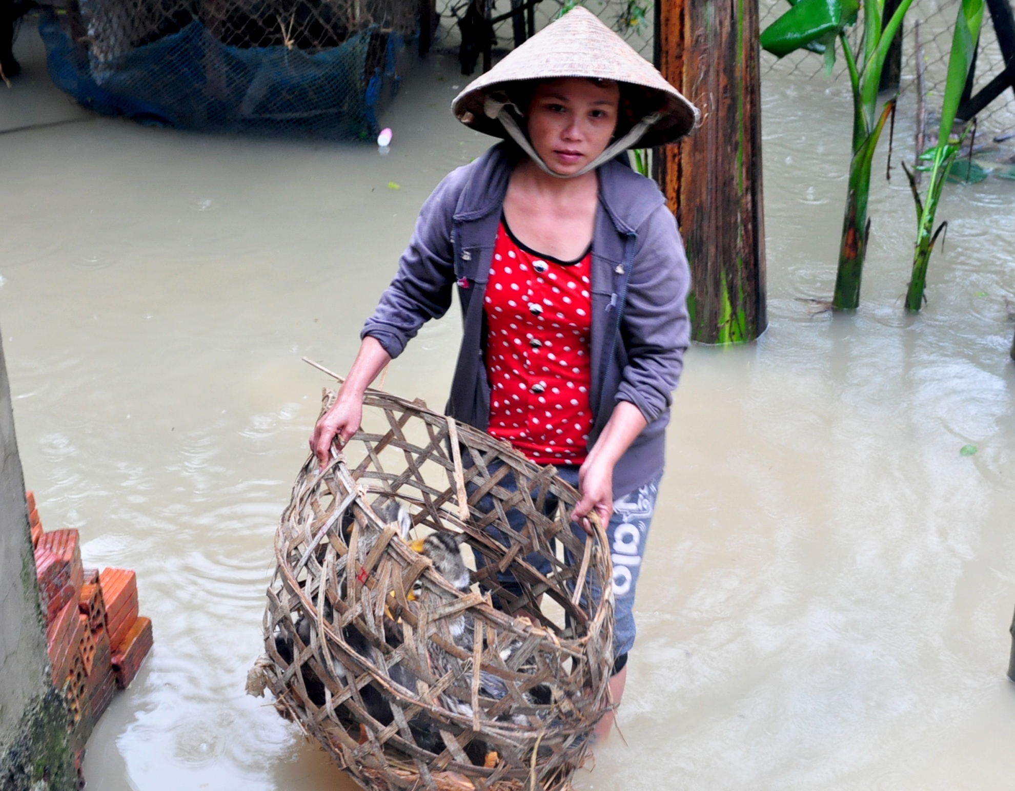 Tim thay thi the nan nhan bi lu vui duoi ruong sau hinh anh