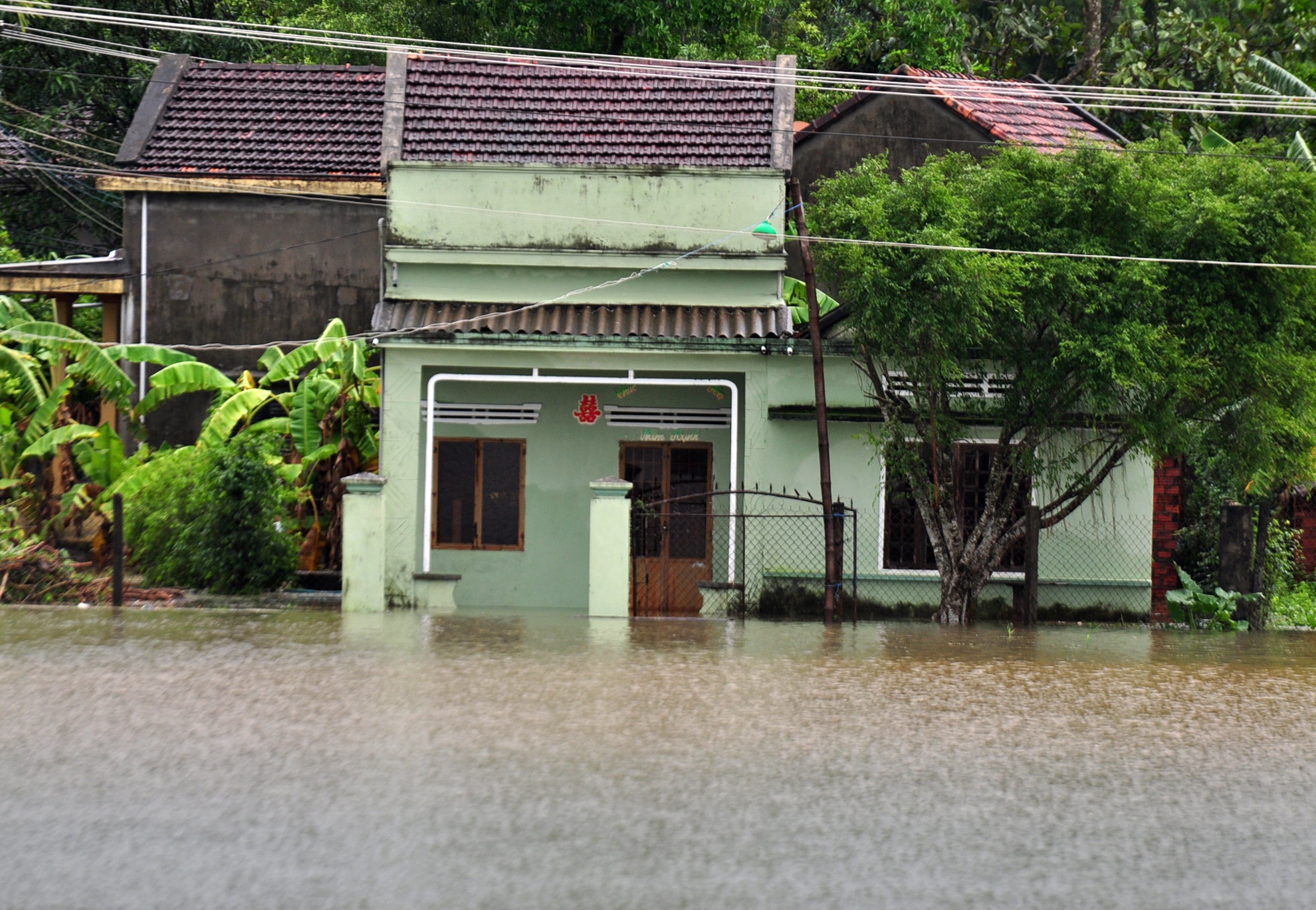 Lu lon, Quang Ngai so tan khan cap hang nghin dan hinh anh