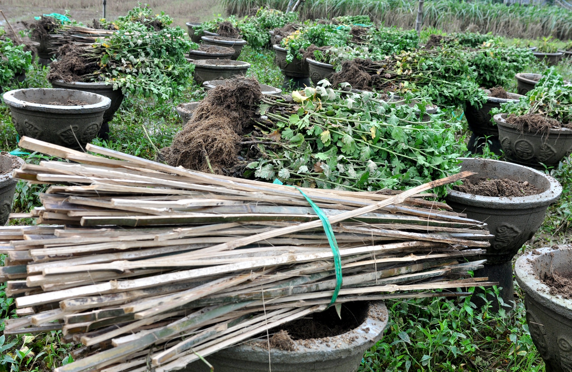 Mua lu Quang Ngai anh 9