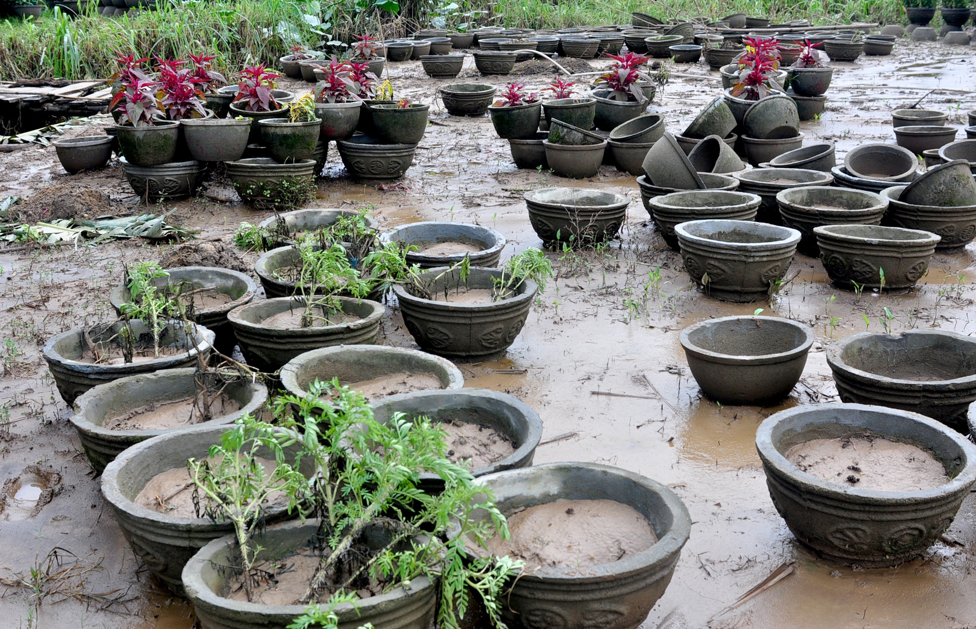 Mua lu Quang Ngai anh 10