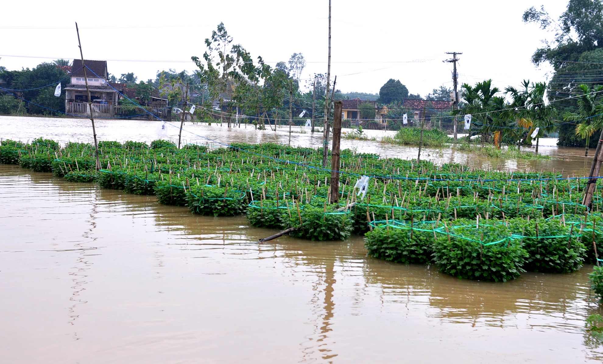 Mua lu Quang Ngai anh 1