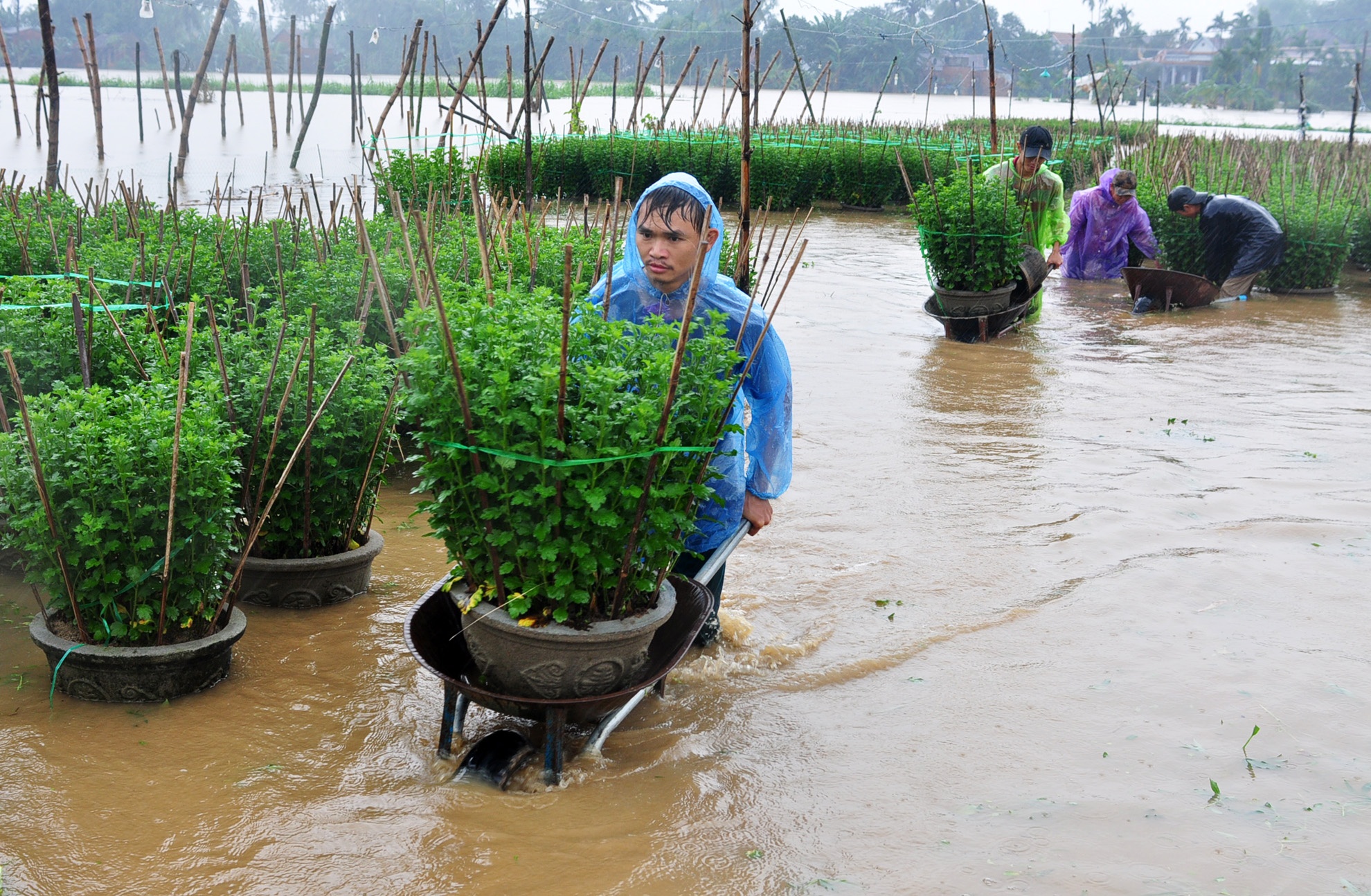 Mua lu Quang Ngai anh 2