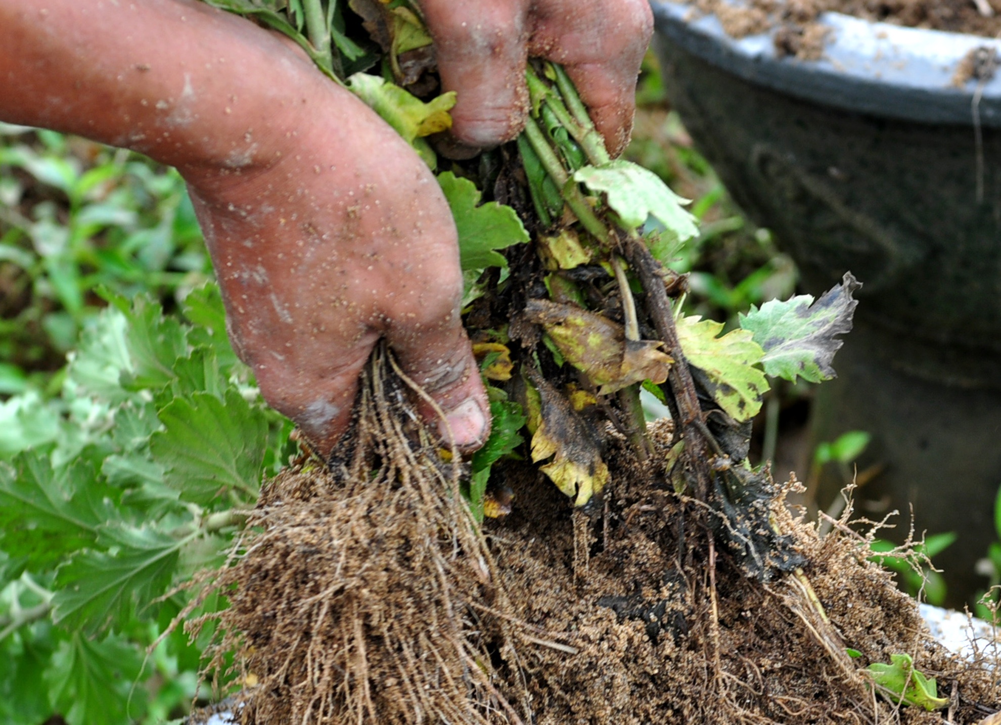 Mua lu Quang Ngai anh 4