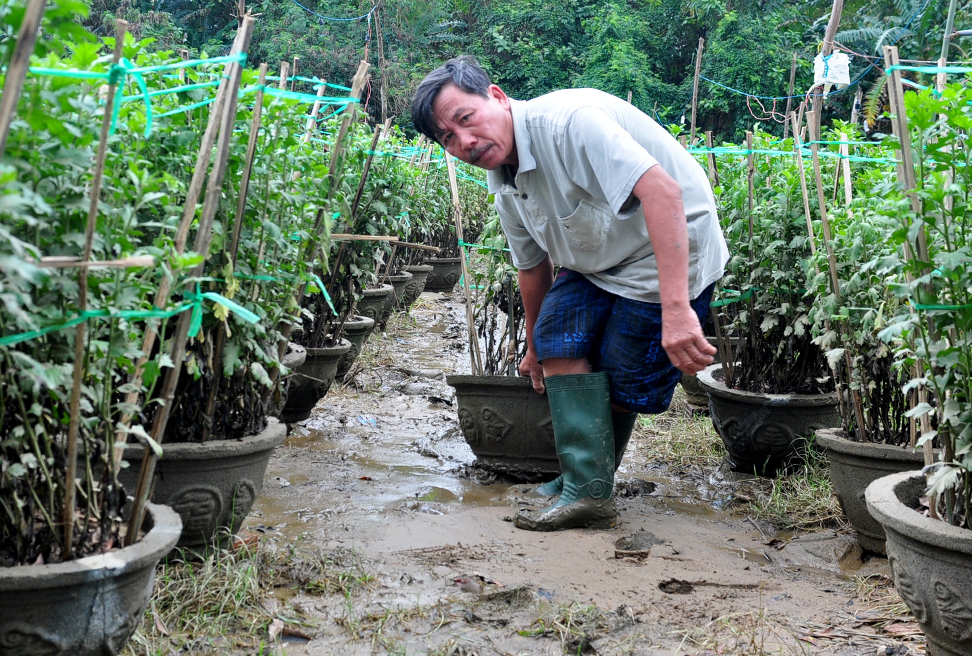 Mua lu Quang Ngai anh 8
