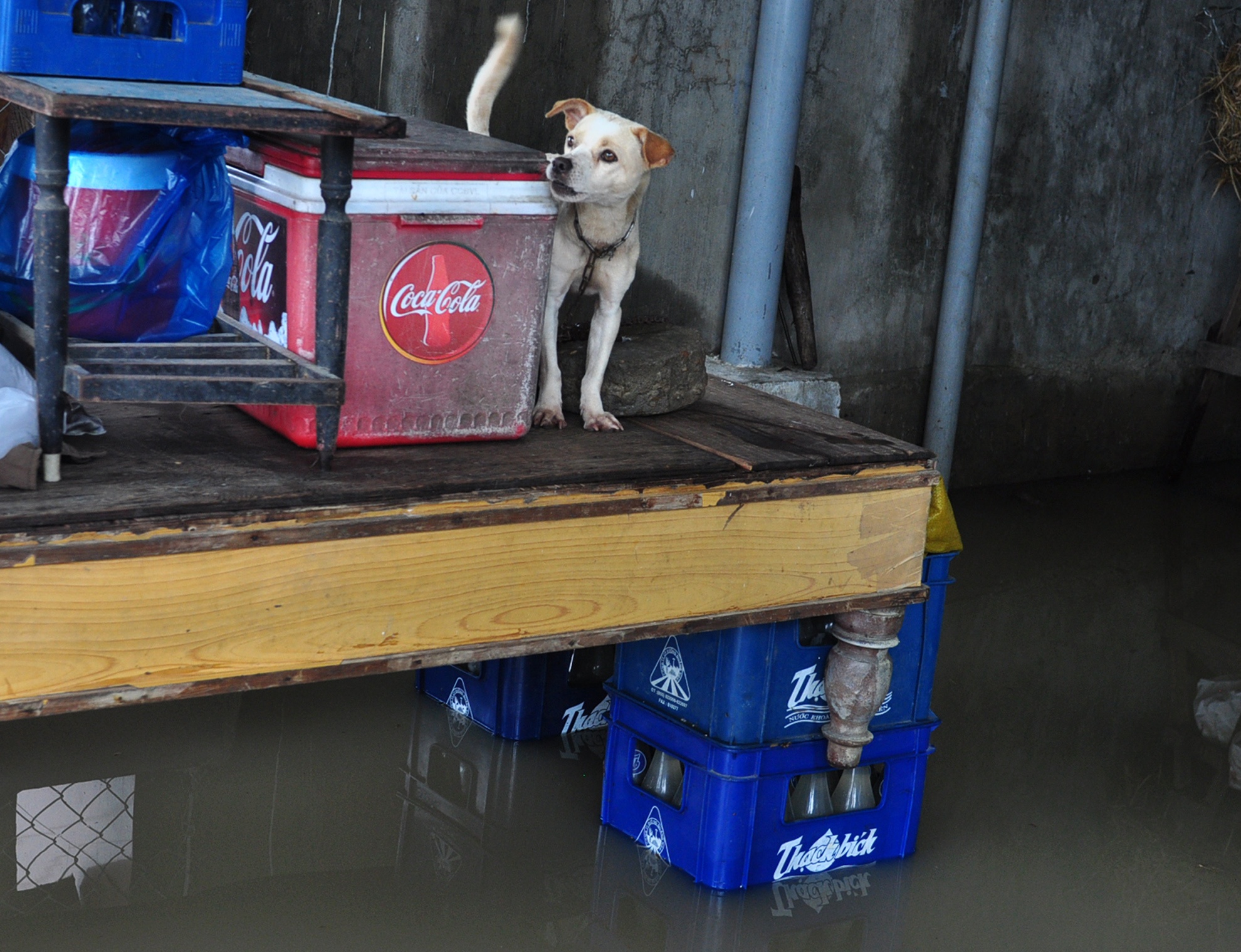 Mua lu Phu Yen anh 8