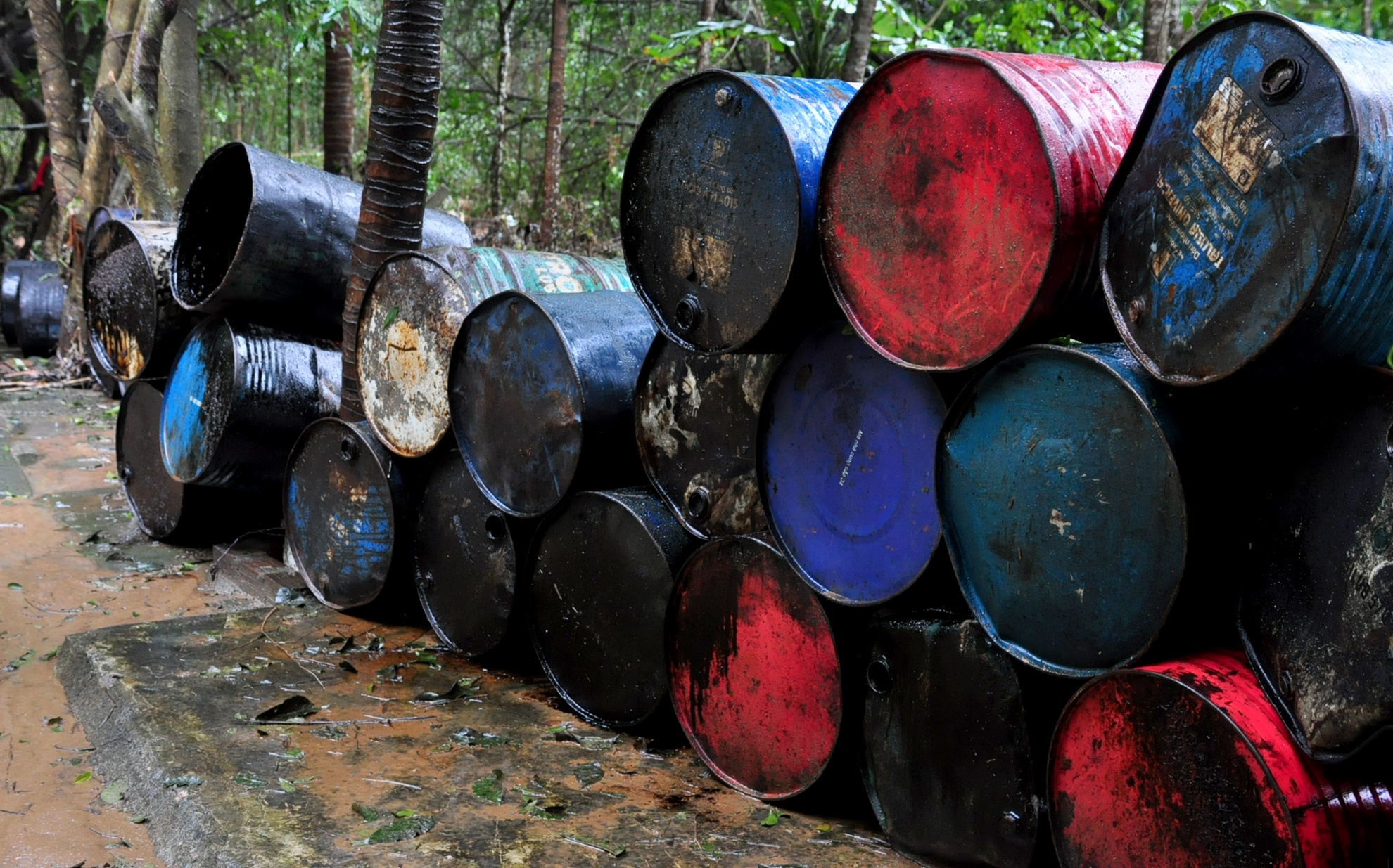 Mua lu Binh Dinh anh 14