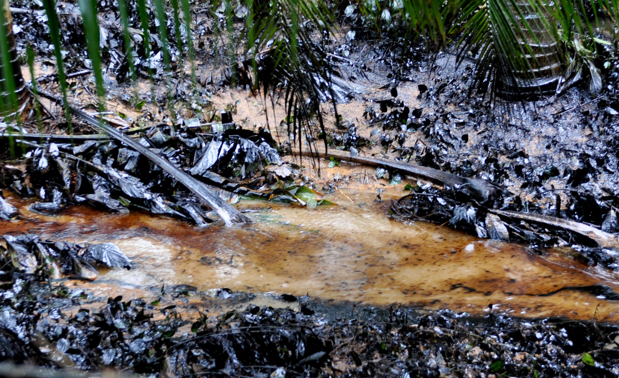 Mua lu Binh Dinh anh 3