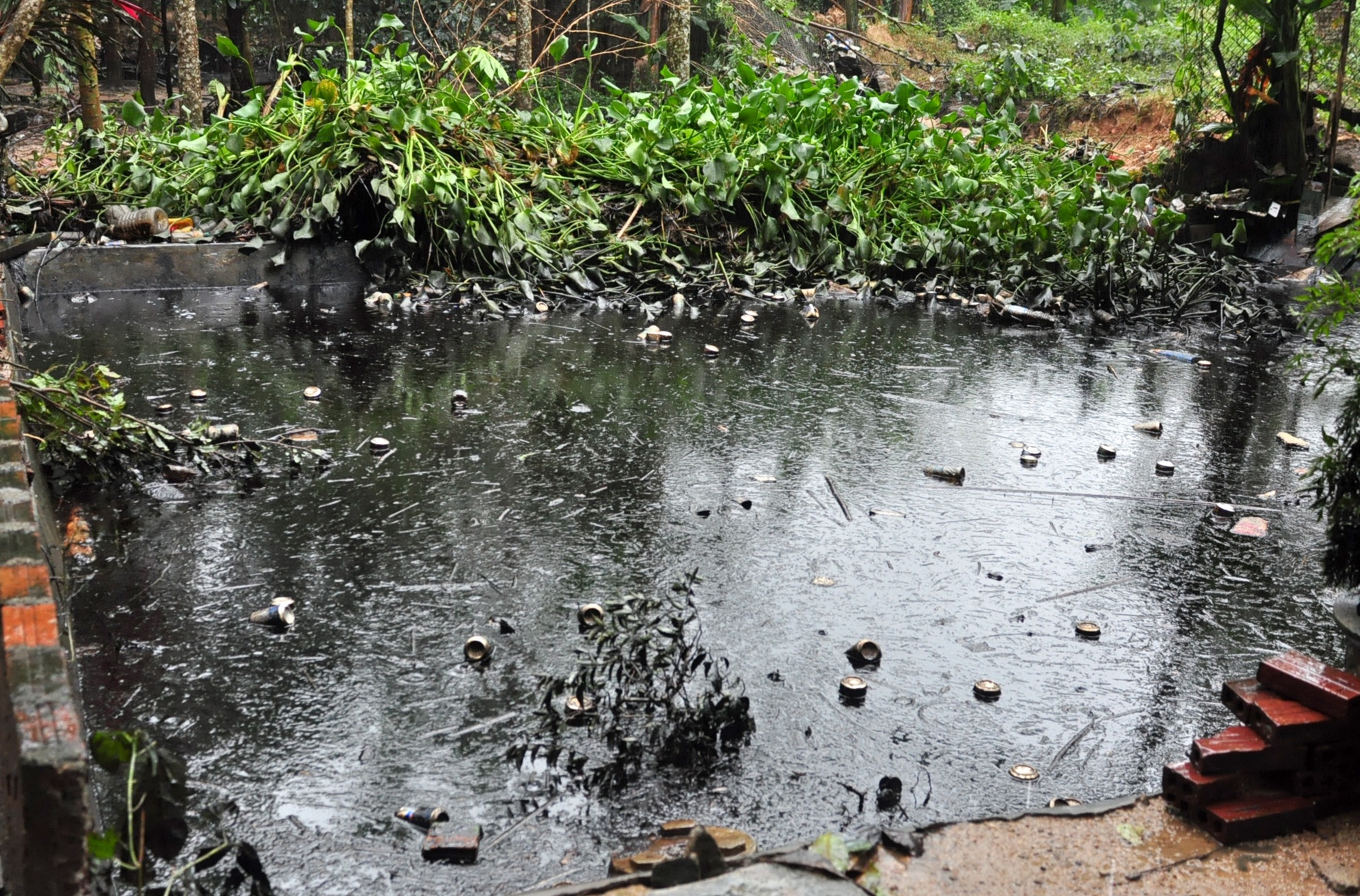 Mua lu Binh Dinh anh 4