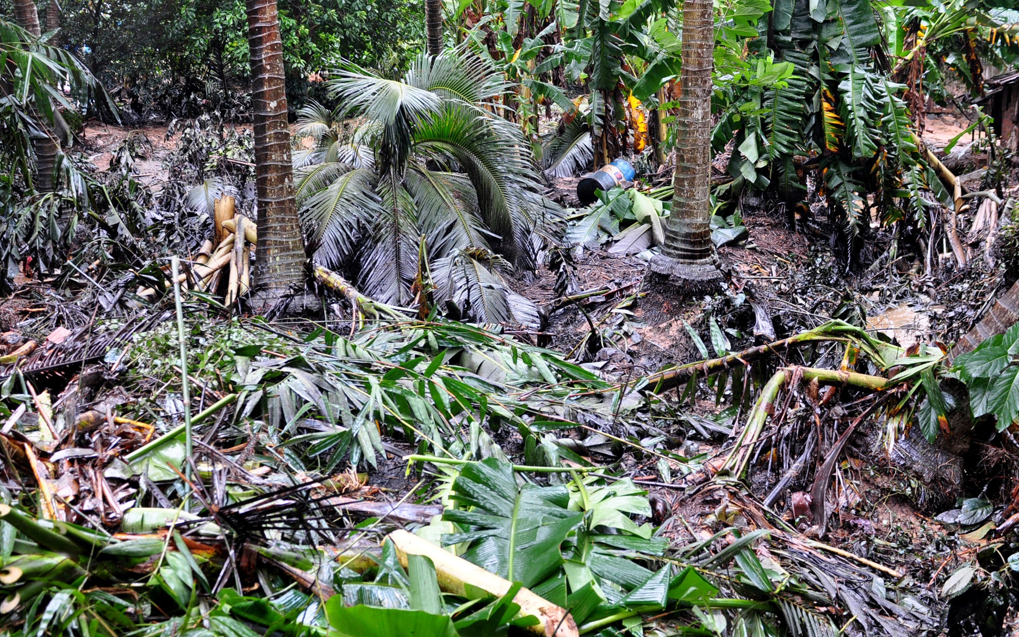 Mua lu Binh Dinh anh 5