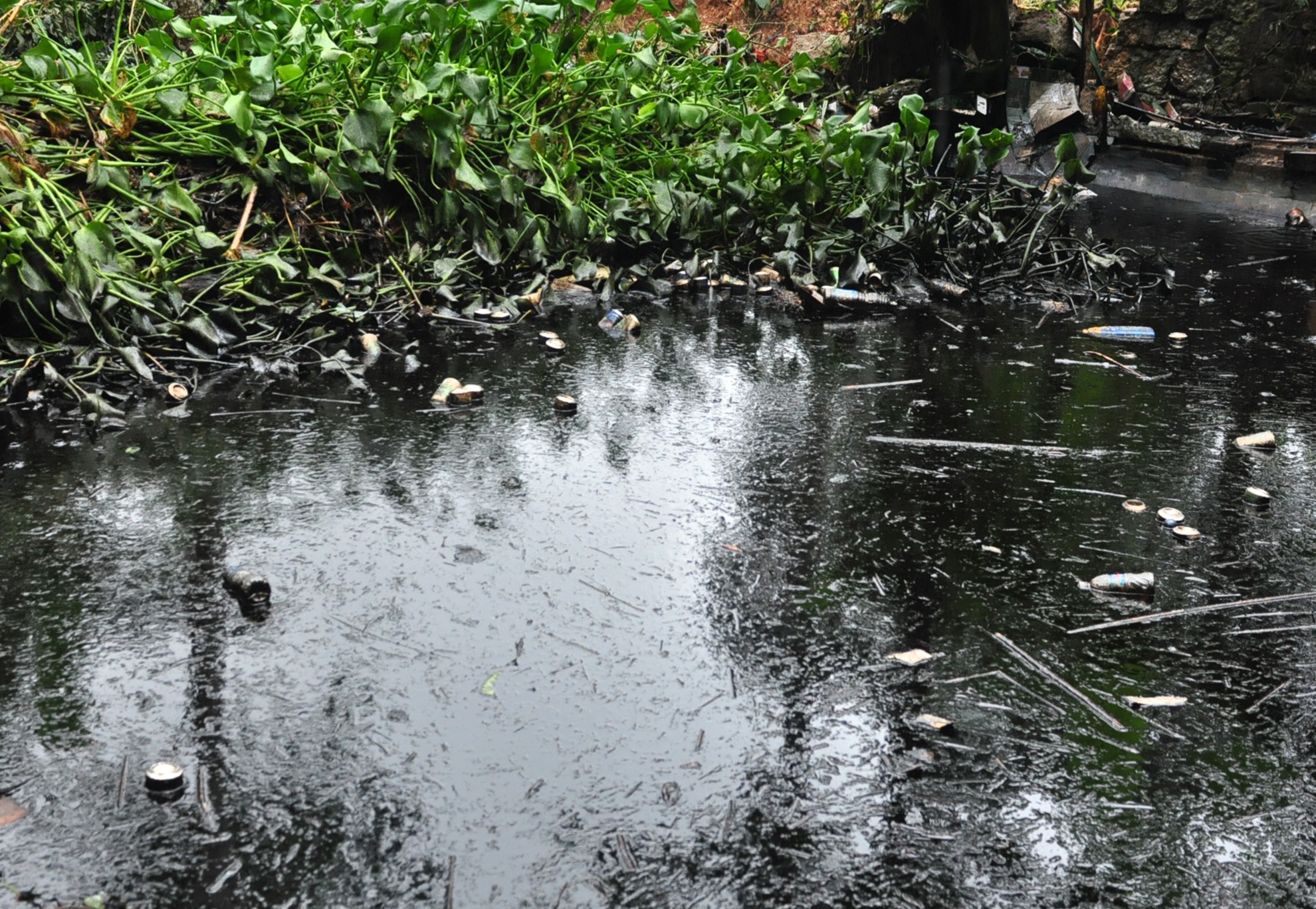 Mua lu Binh Dinh anh 3