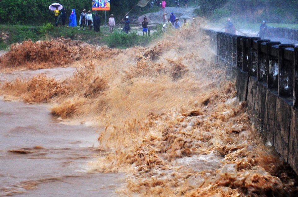 7 nguoi du nhanh tre, cay bach dan chong choi lu du hinh anh