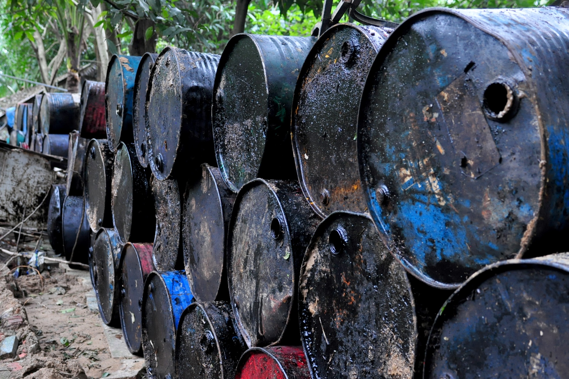 Mua lu Binh Dinh anh 2