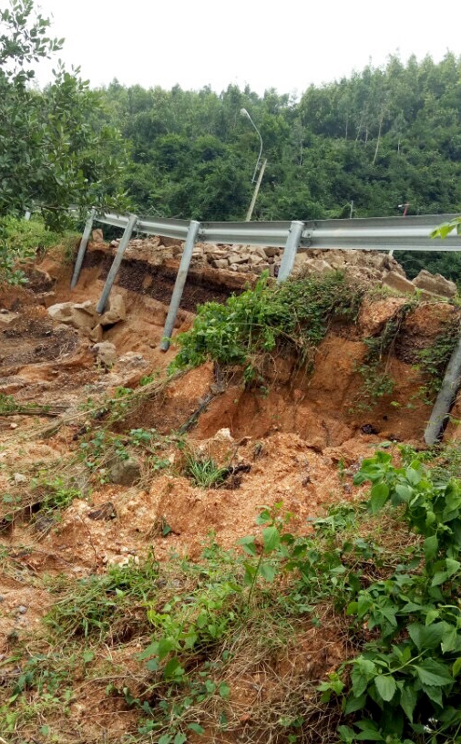 Mưa lũ Bình Định ảnh 12 Mua lu Binh Dinh anh 12