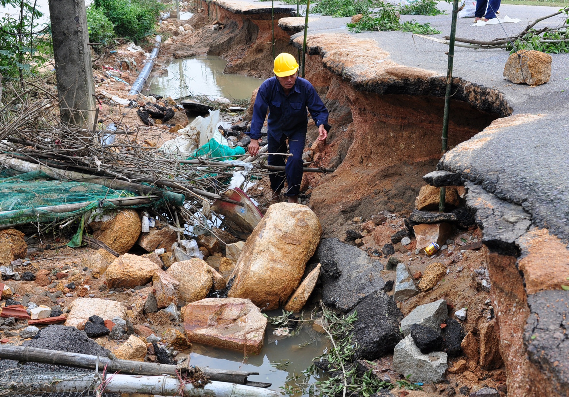 Canh giac tham hoa sau mua lu lich su hinh anh