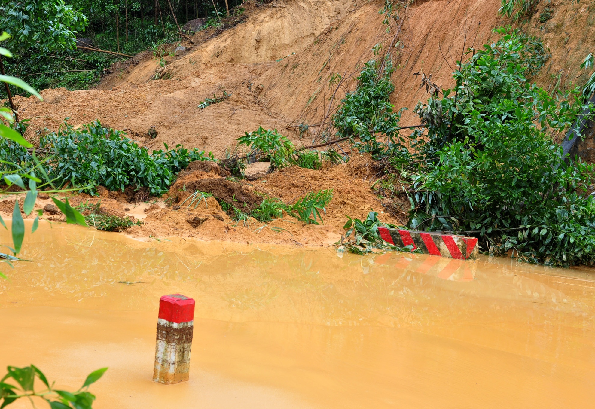 Mua lu lich su anh 14