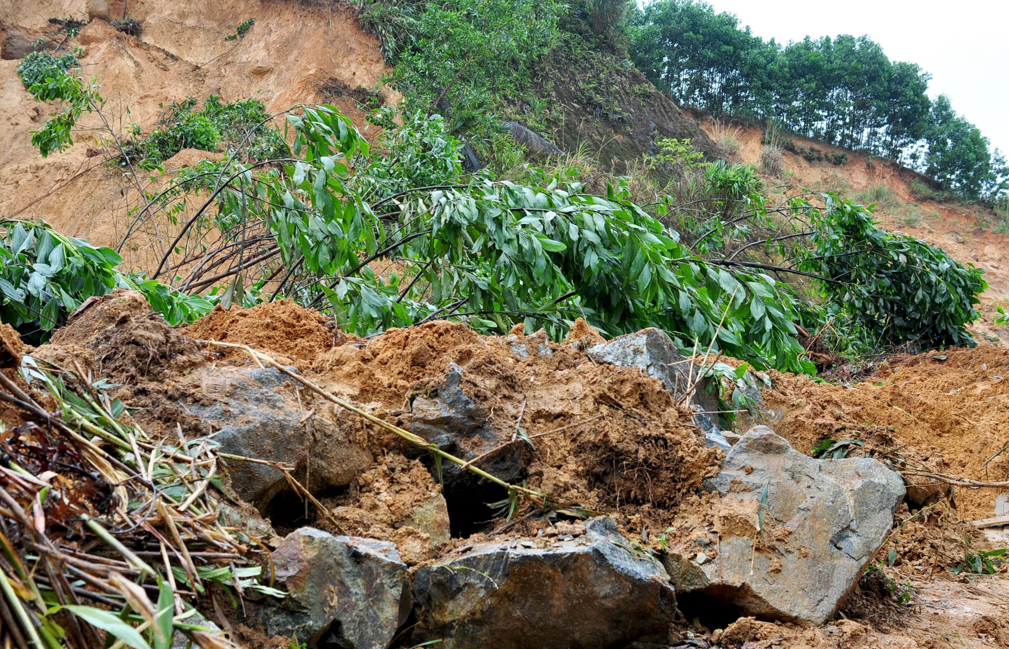 Mua lu lich su anh 4