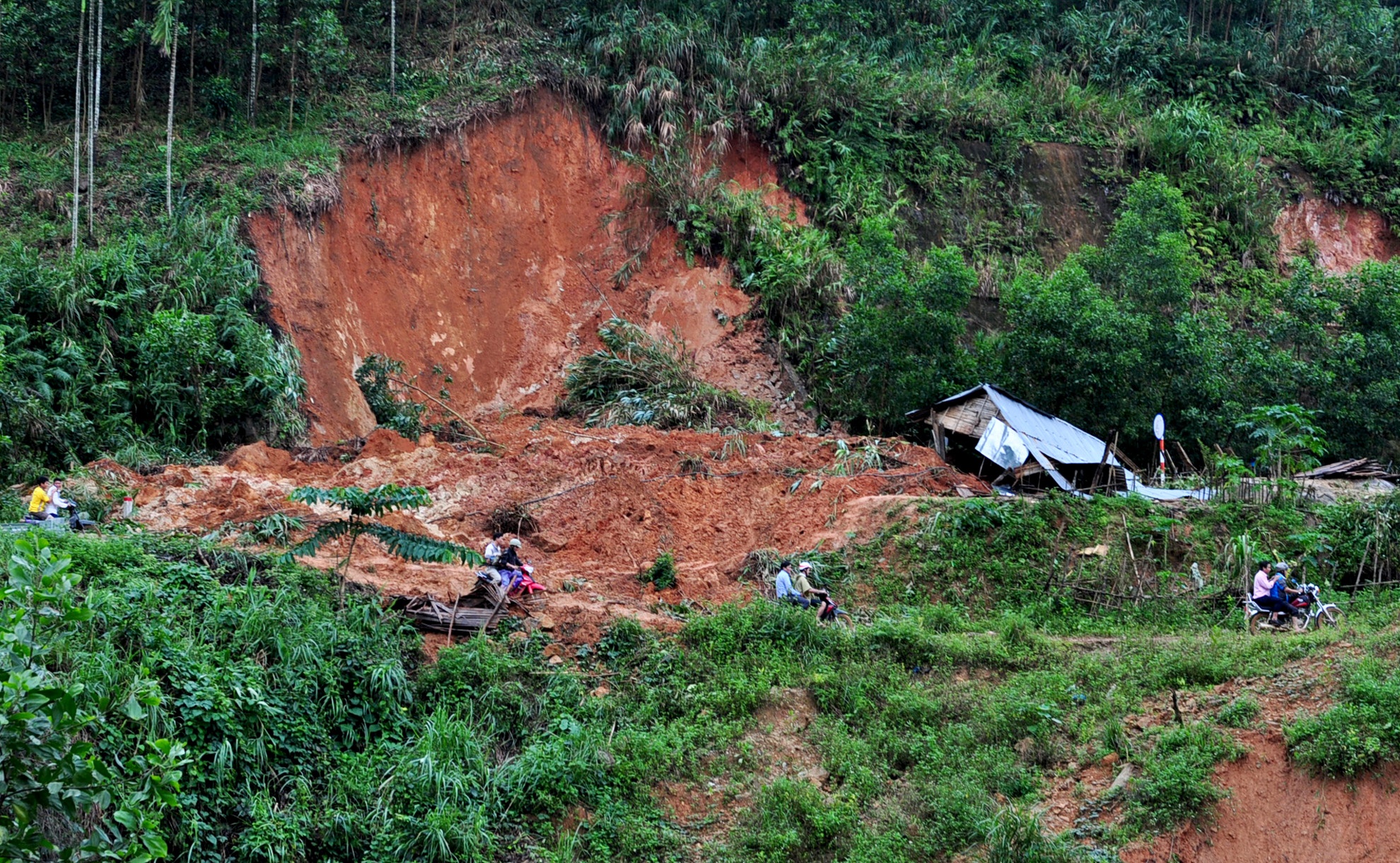 Mua lu lich su anh 6