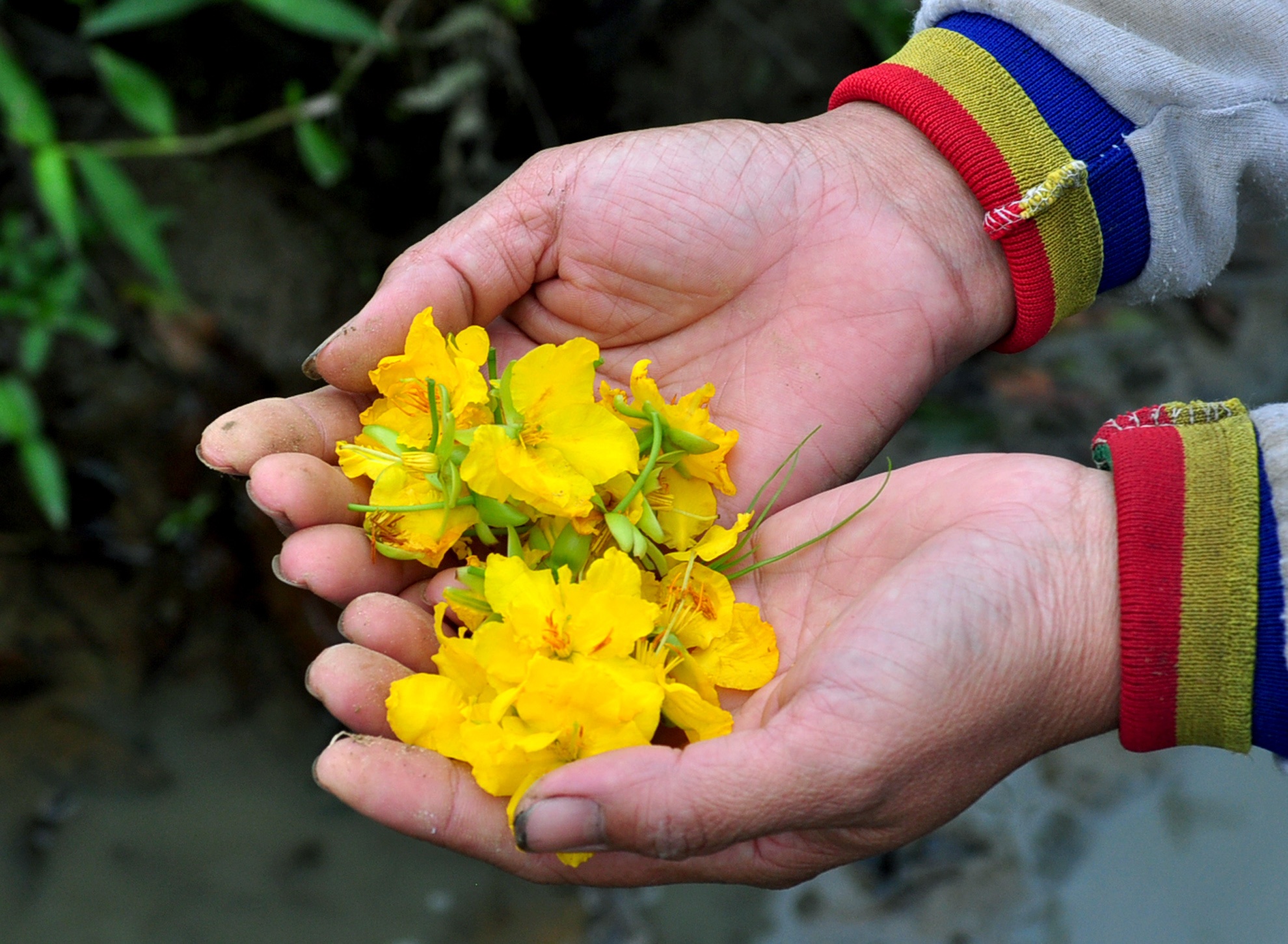 Mai tet no ro sau lu anh 5