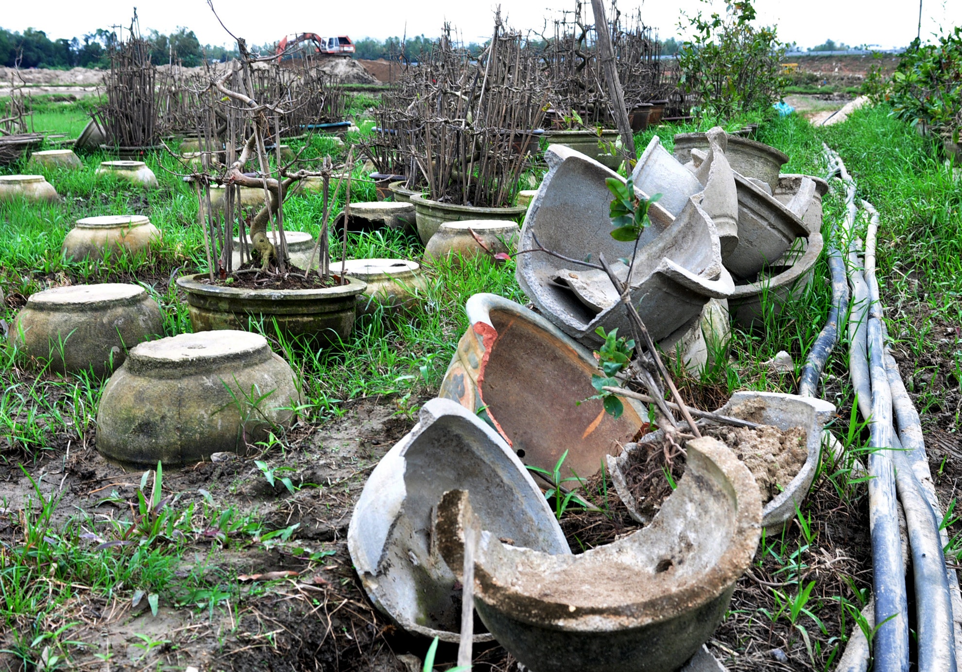 Mai tet no ro sau lu anh 8