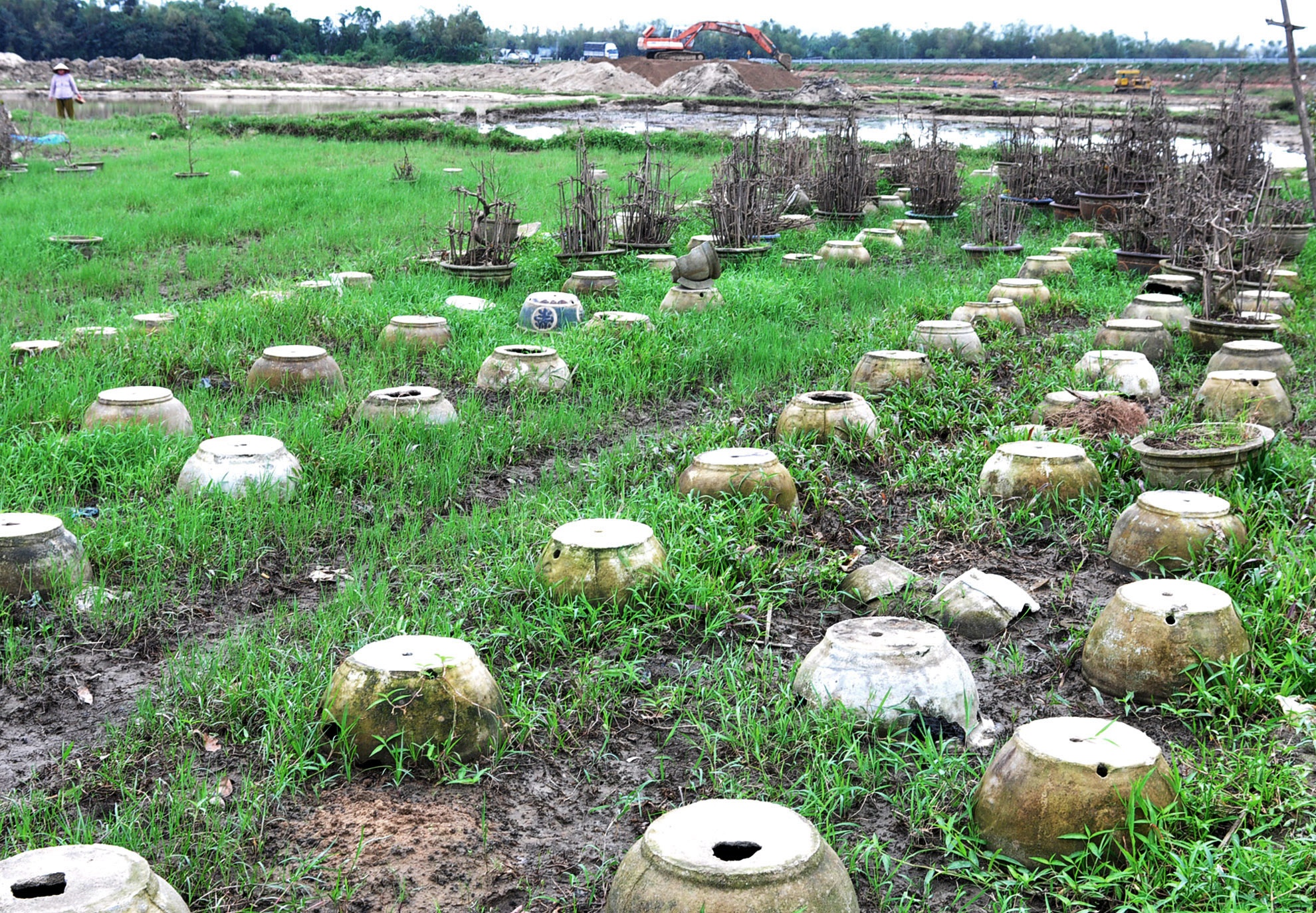 Mai tet no ro sau lu anh 9