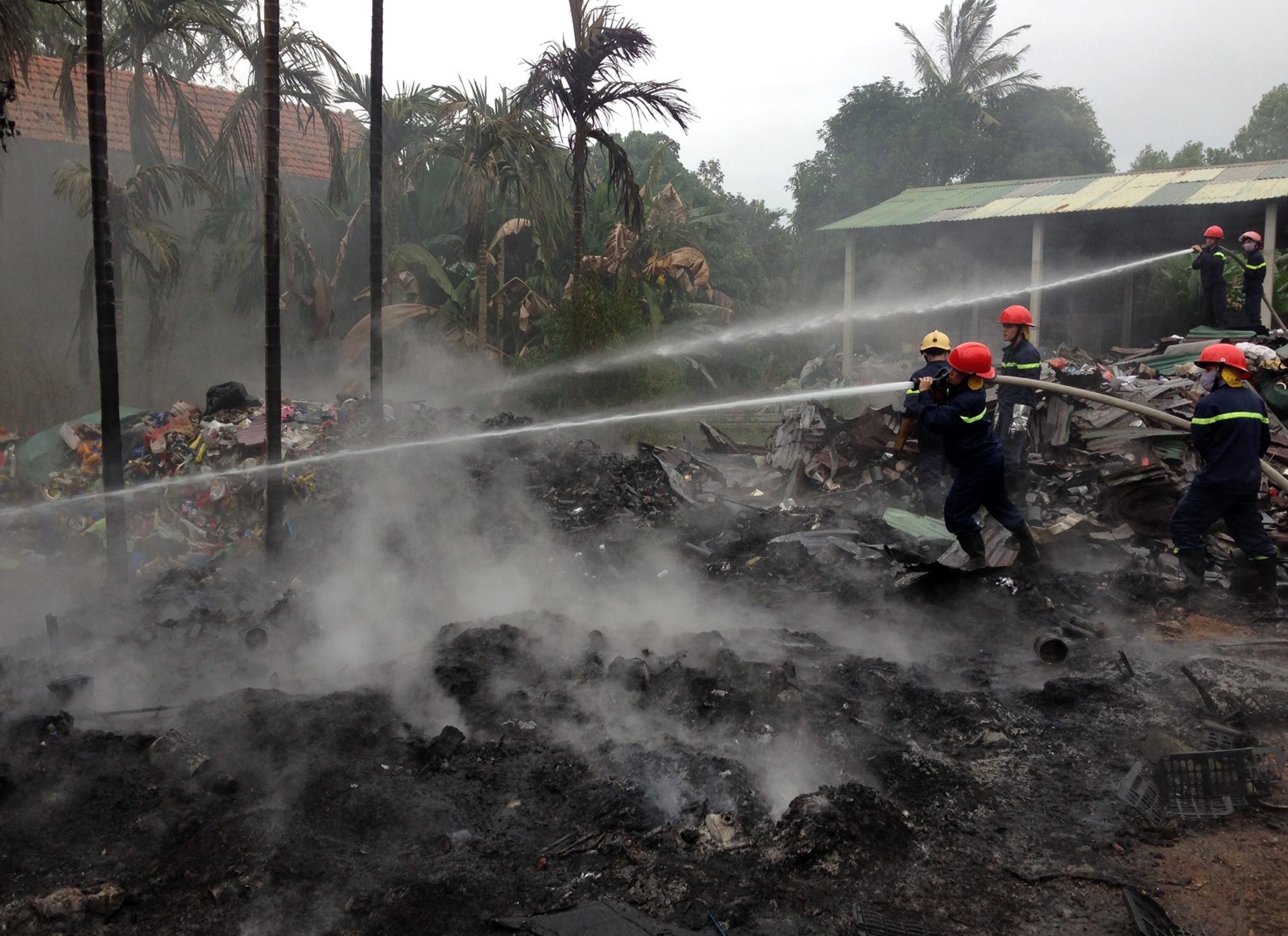 Hoa hoan o Quang Ngai anh 2