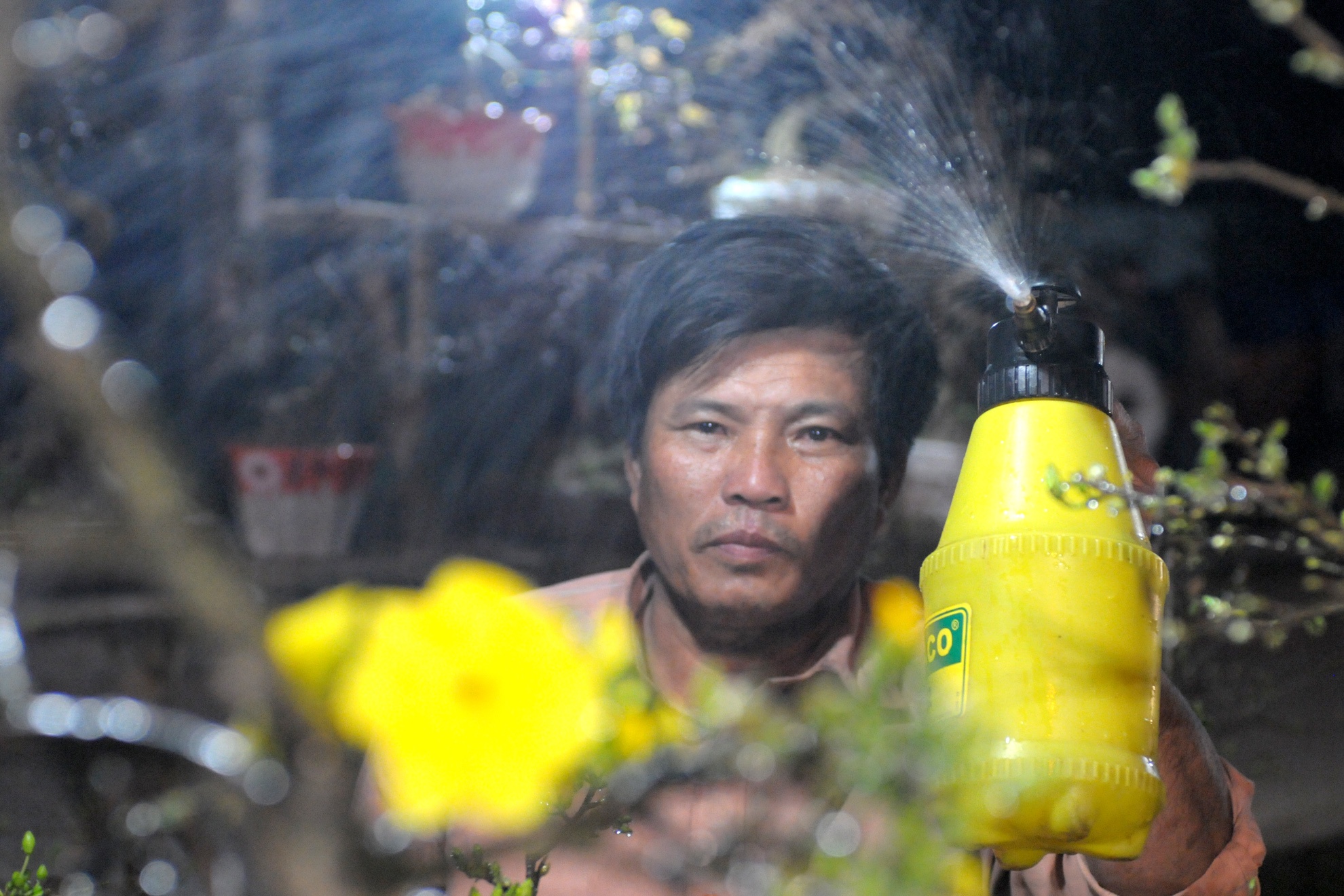 Dan Binh Dinh dung leu bat ban mai Tet ven quoc lo 1 hinh anh