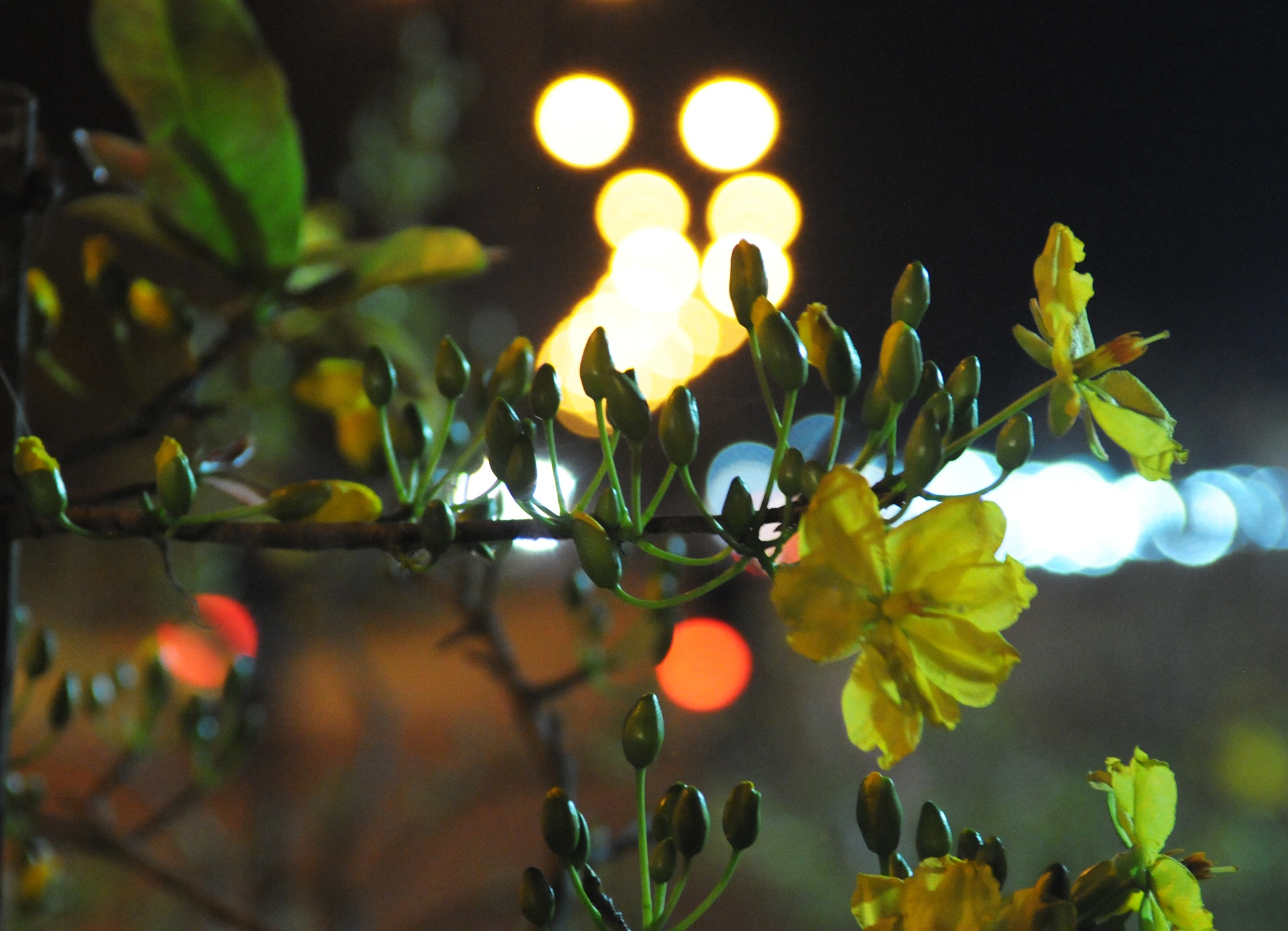 Dung leu ban mai Tet anh 11